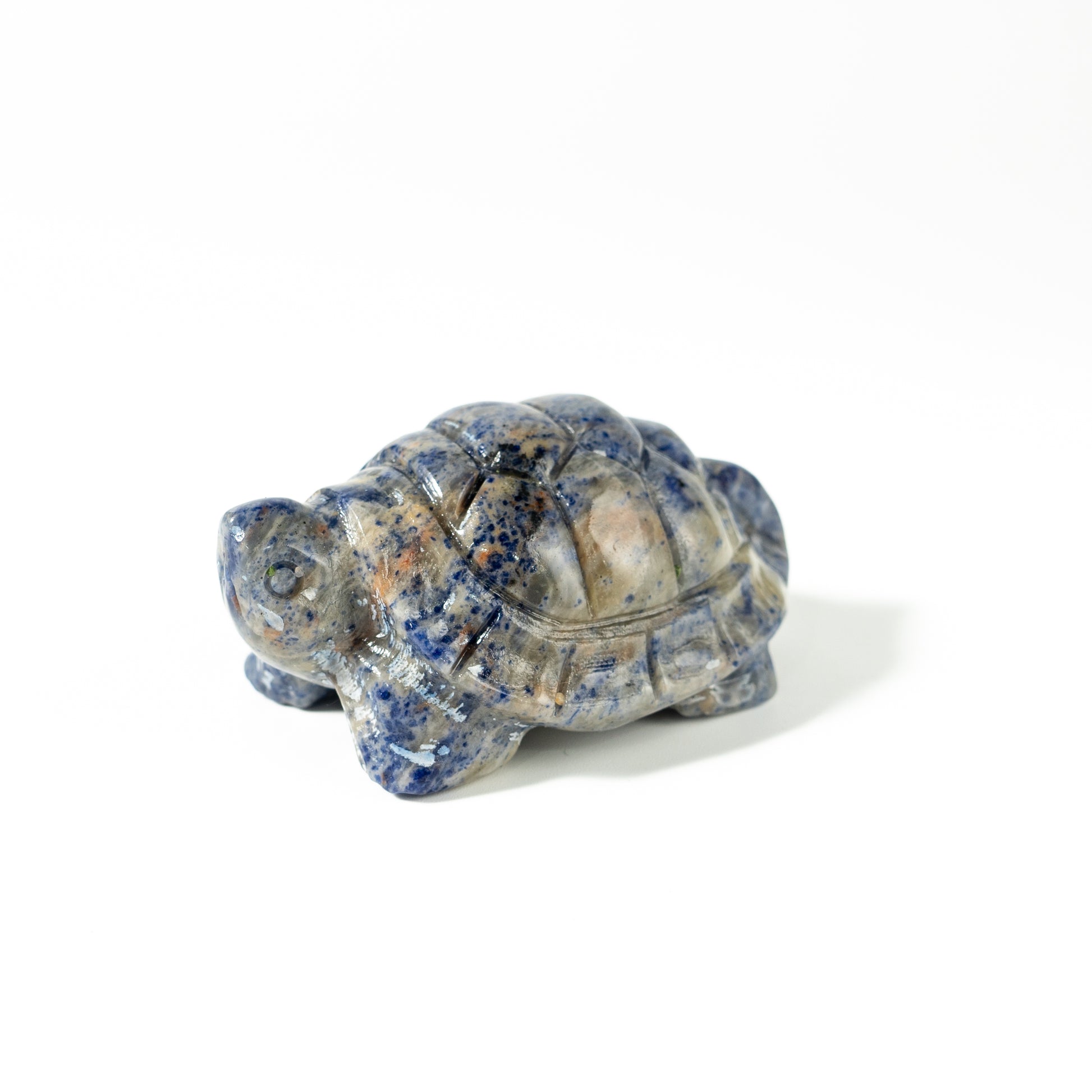 【Craving】- Sodalite Turtle
