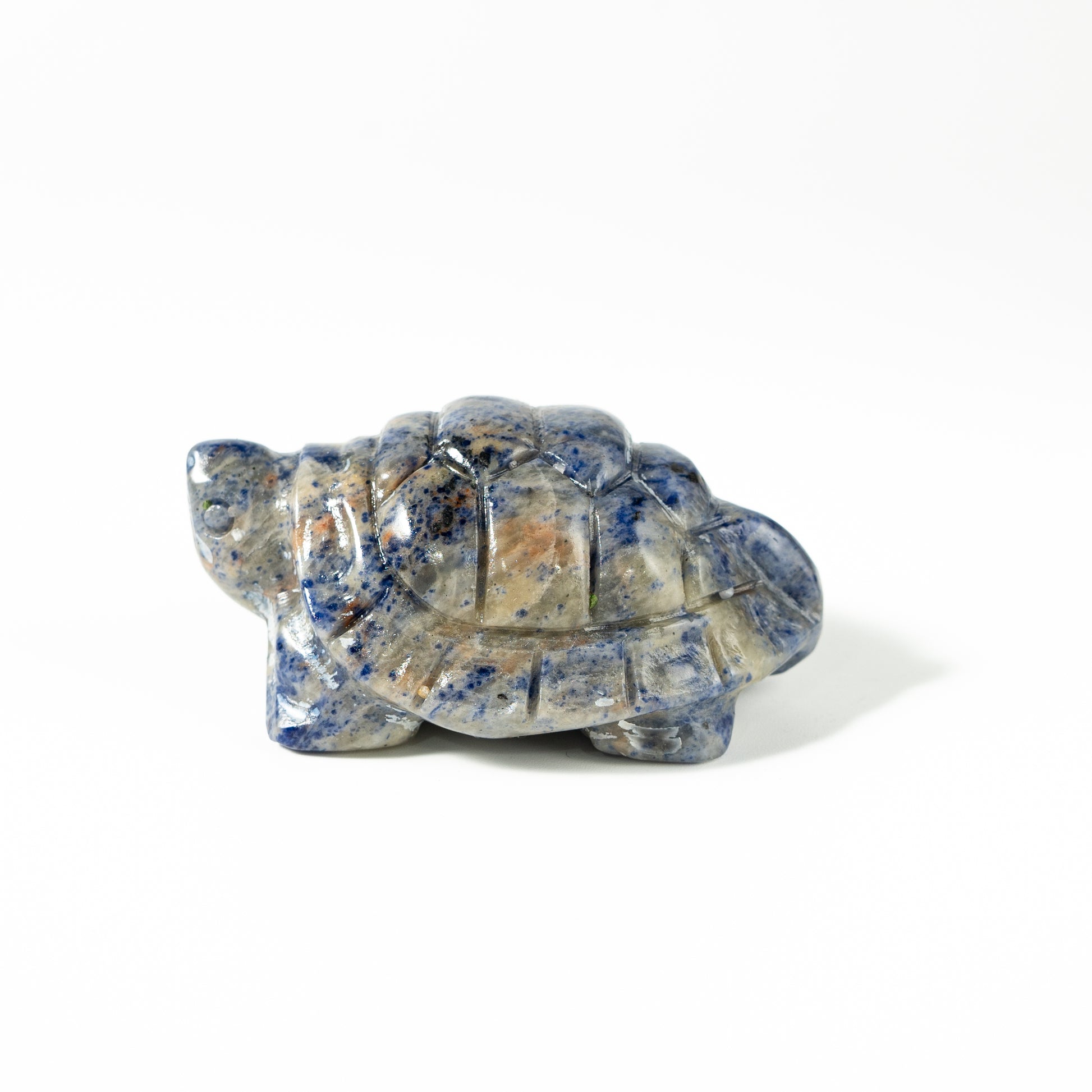 【Craving】- Sodalite Turtle