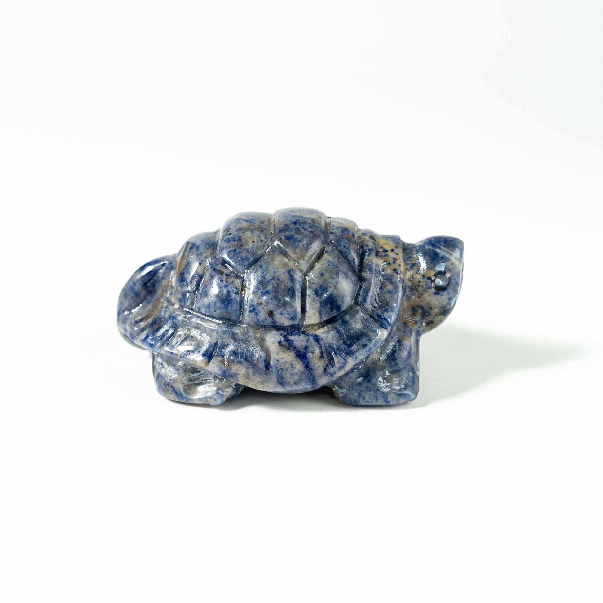 【Craving】- Sodalite Turtle
