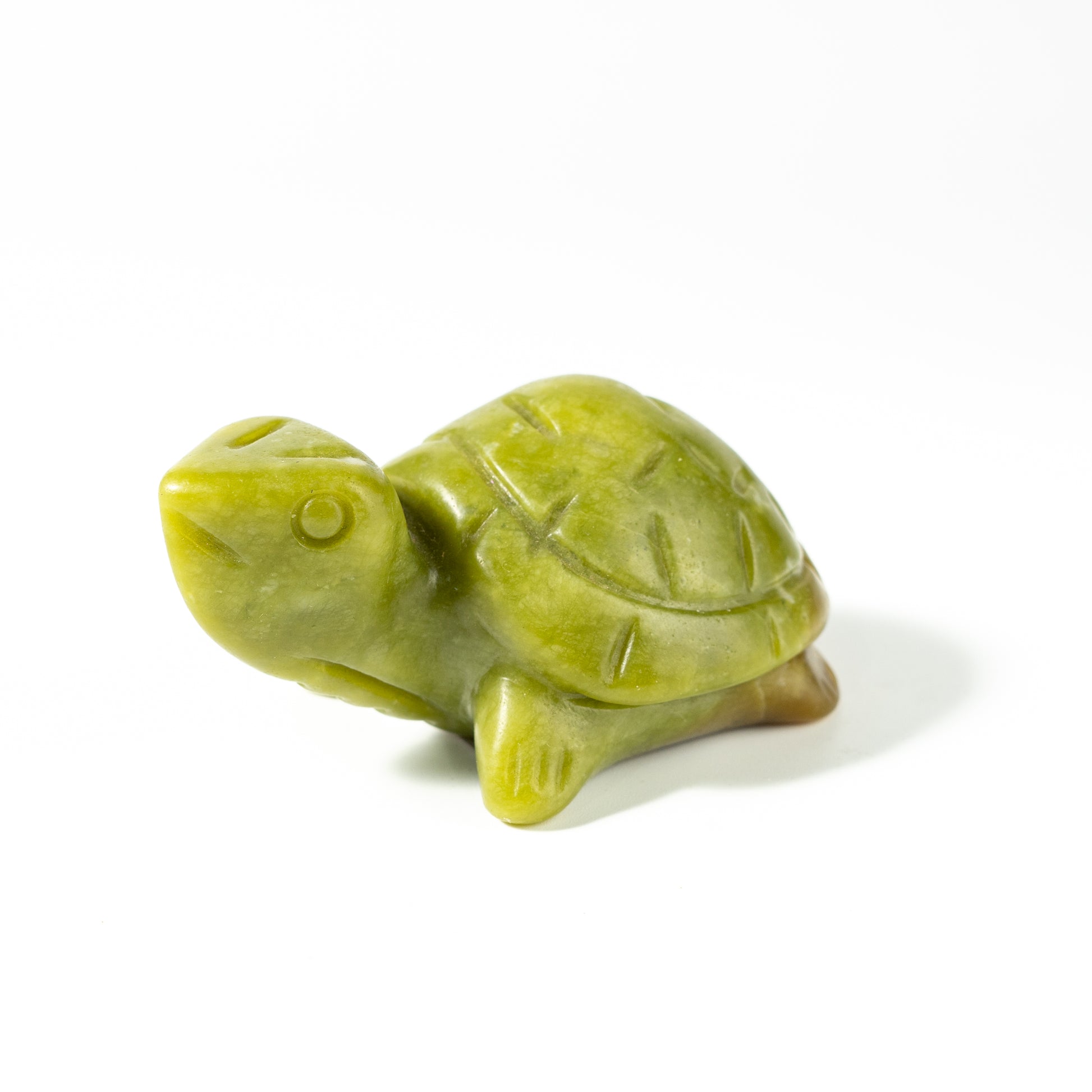 【Craving】- Green Jade Turtle