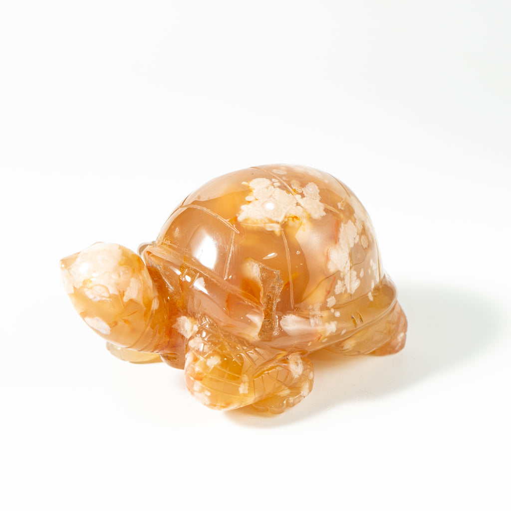 【Craving】- Flower Agate Turtle
