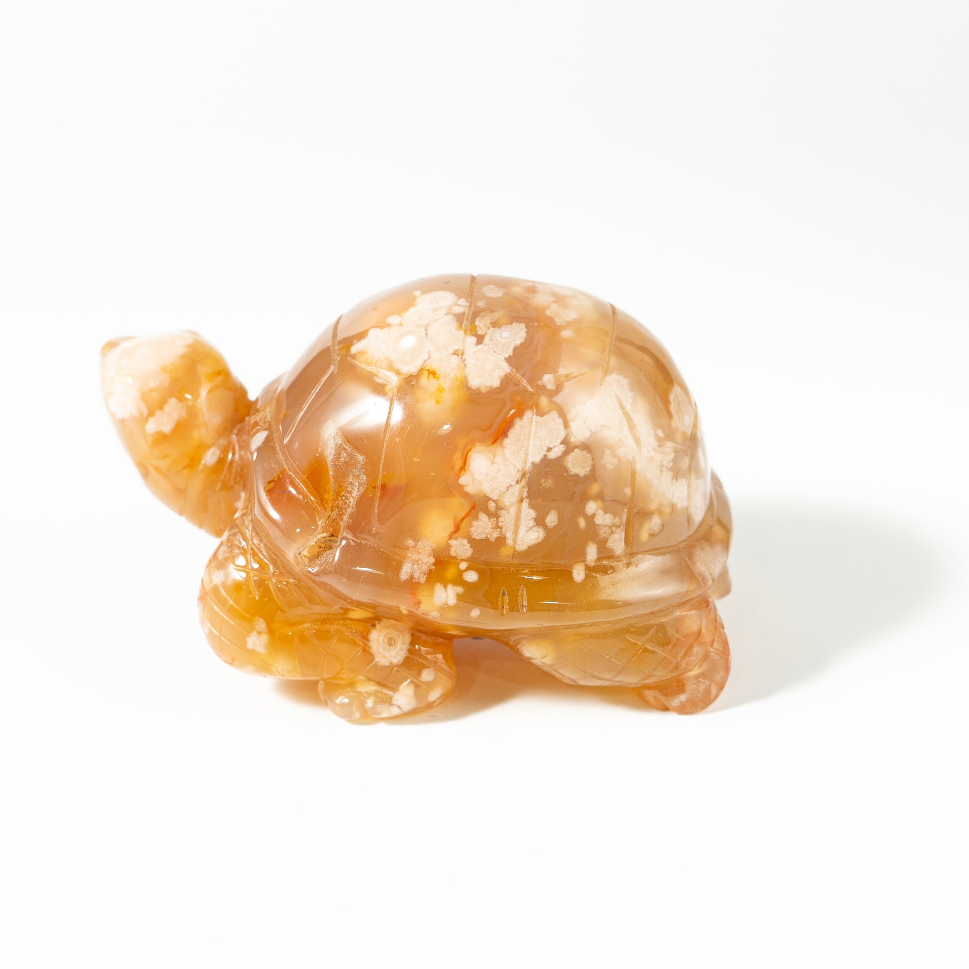 【Craving】- Flower Agate Turtle