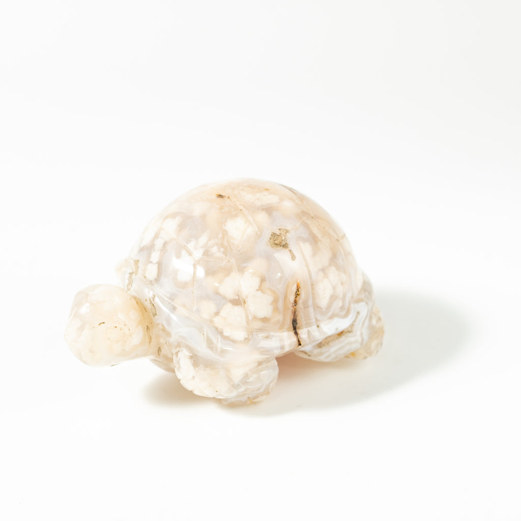 【Craving】- Flower Agate Turtle
