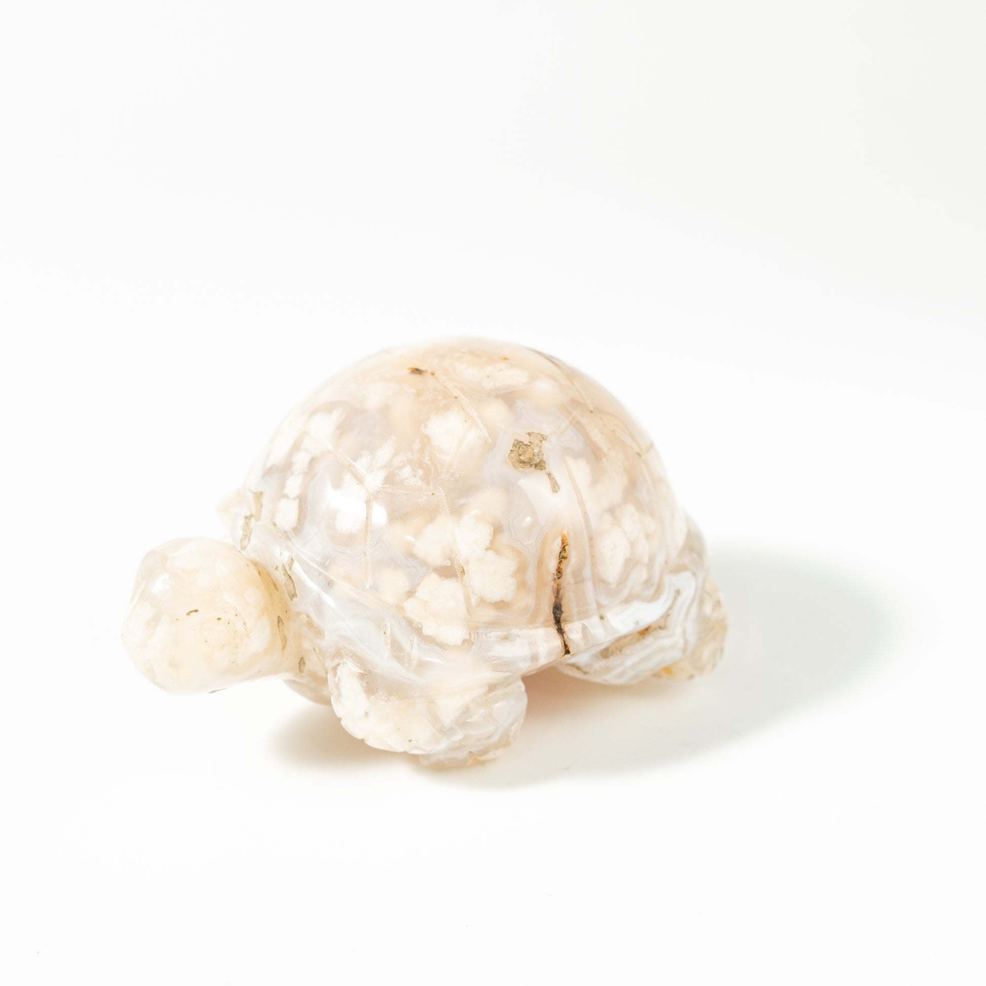 【Craving】- Flower Agate Turtle