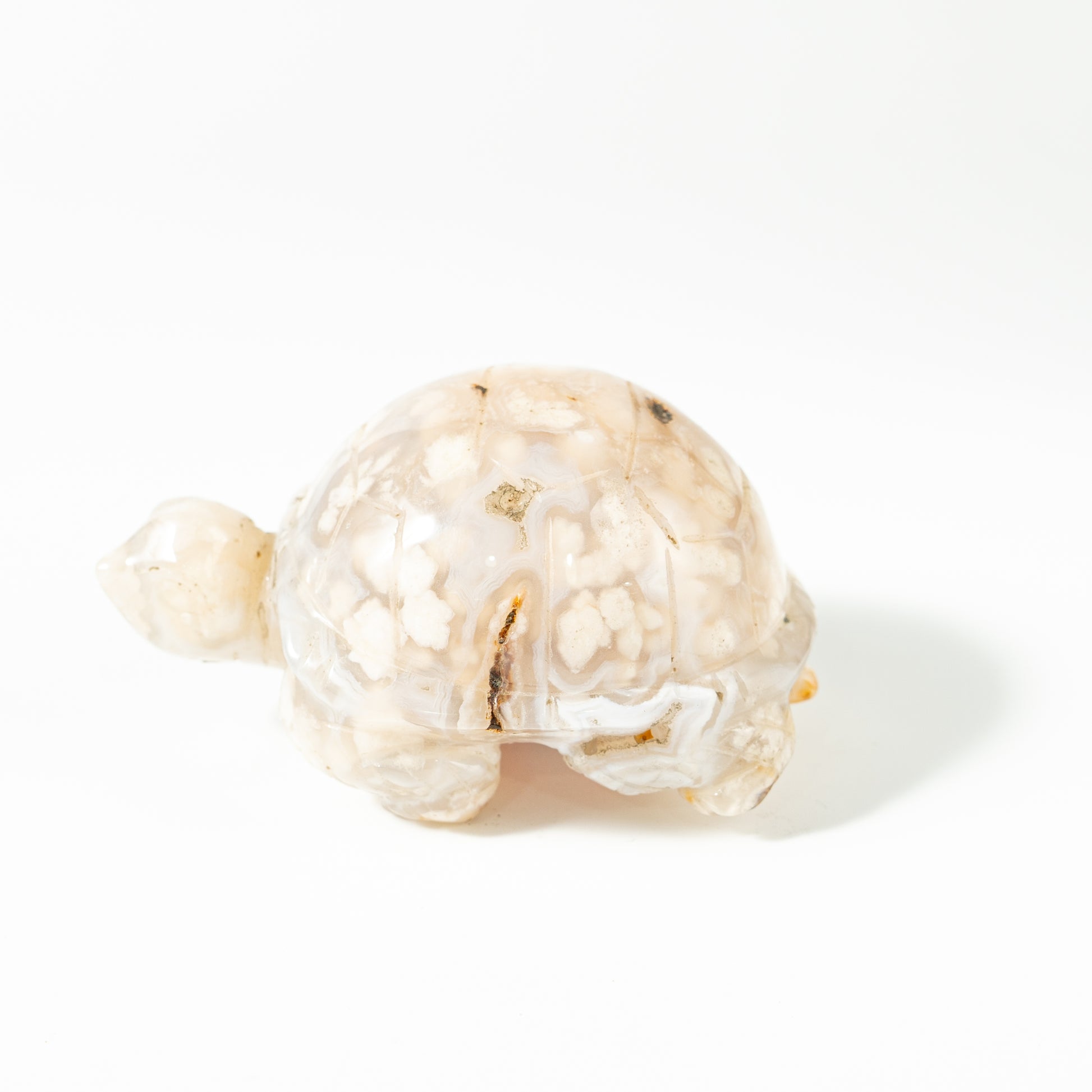 【Craving】- Flower Agate Turtle