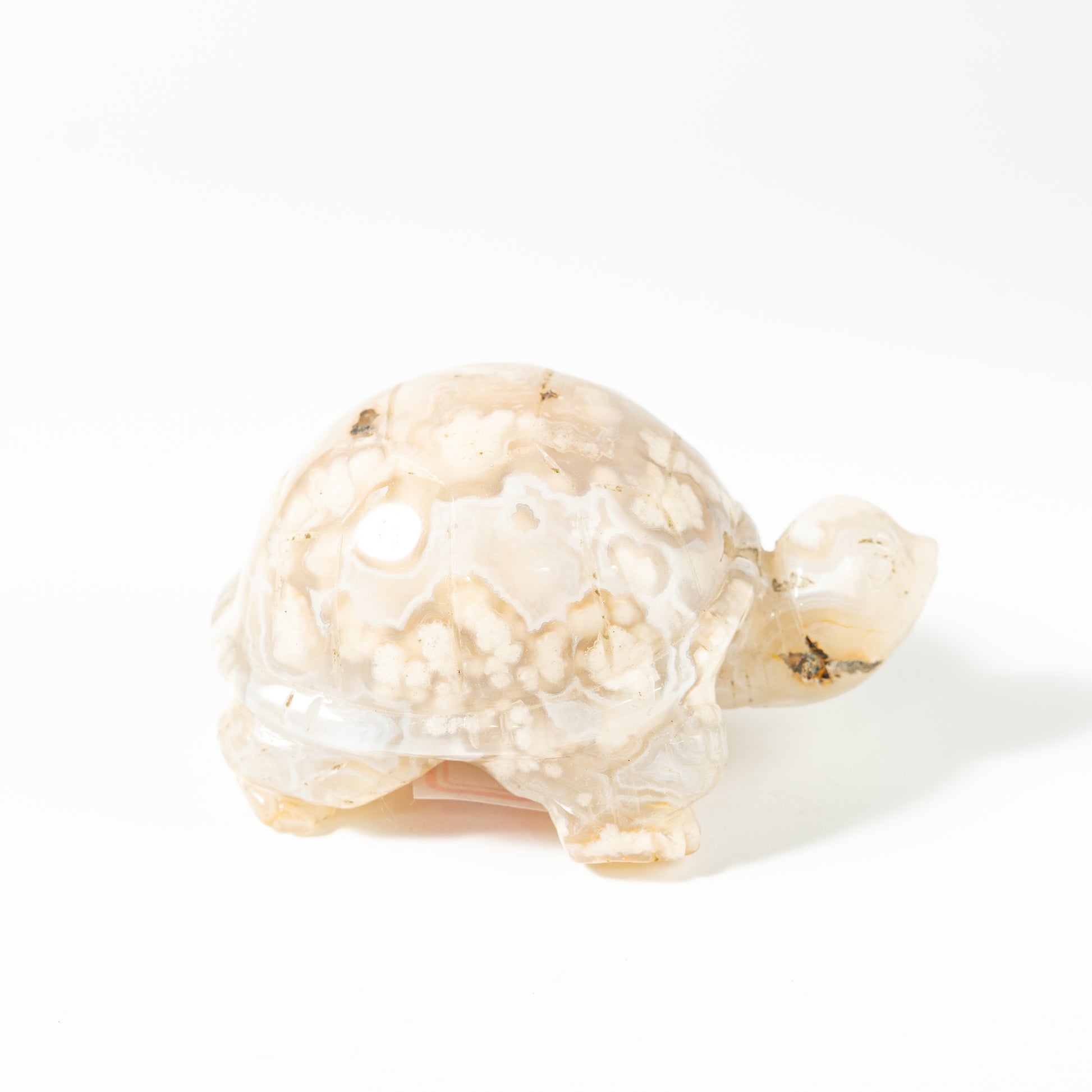 【Craving】- Flower Agate Turtle