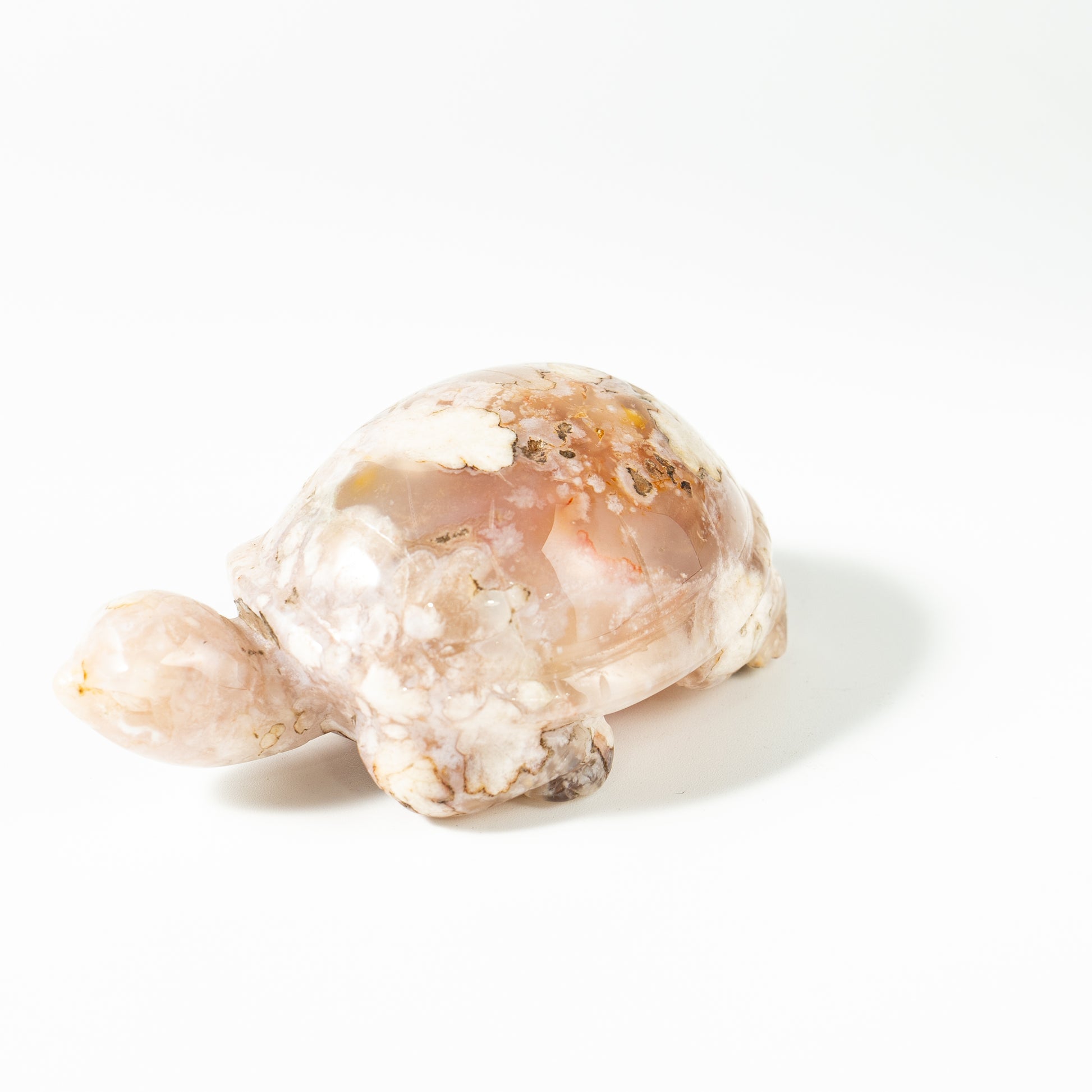 【Craving】- Flower Agate Turtle