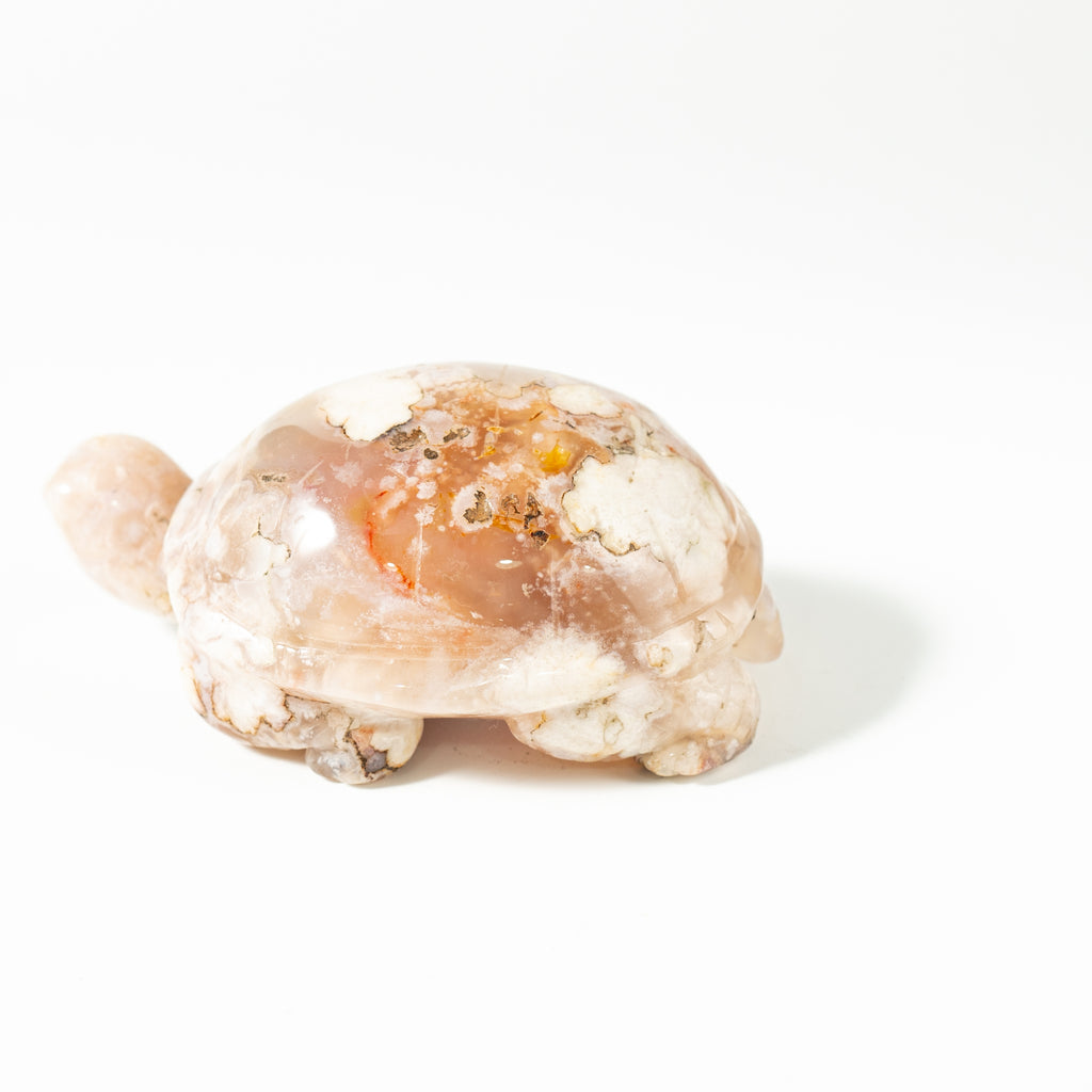 【Craving】- Flower Agate Turtle