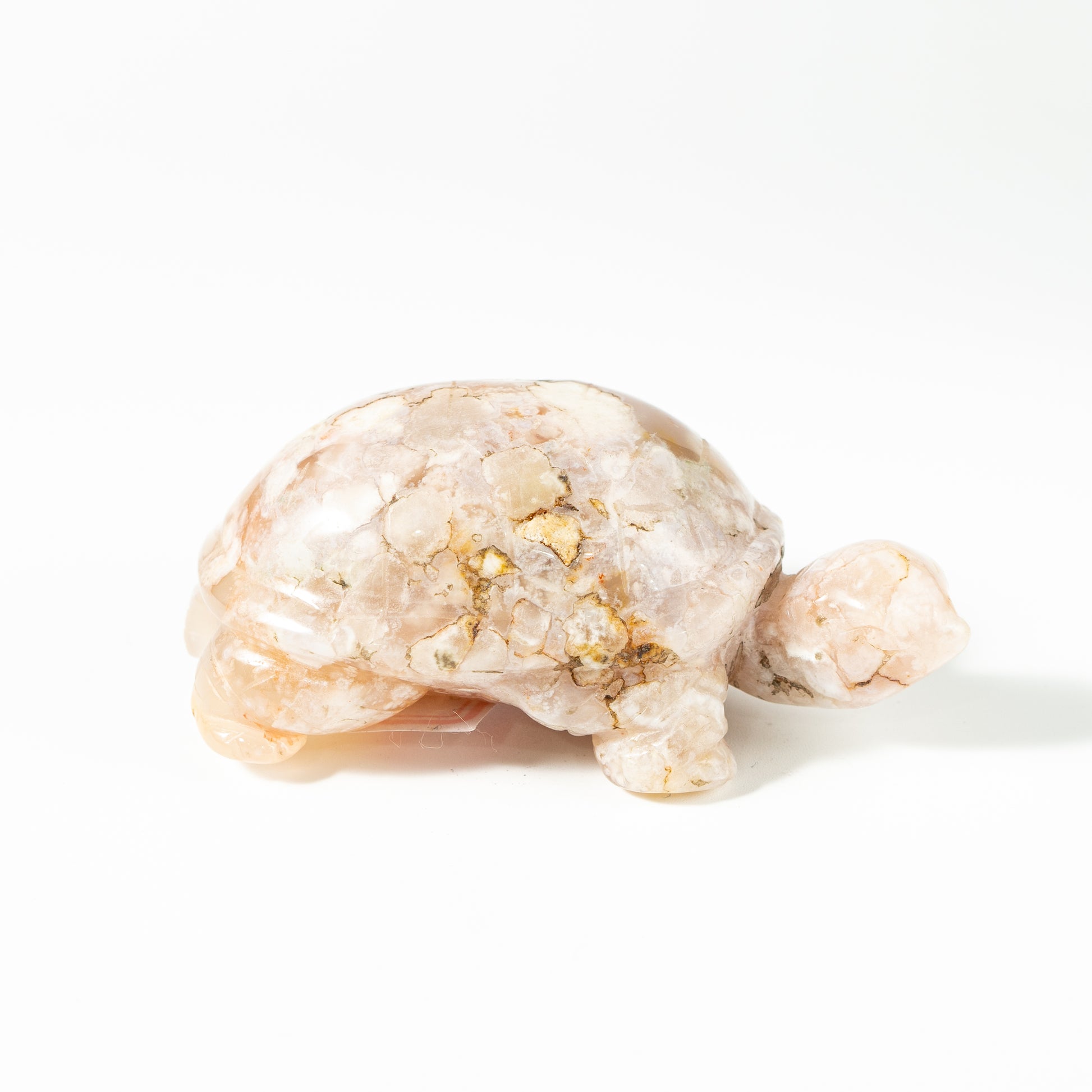 【Craving】- Flower Agate Turtle