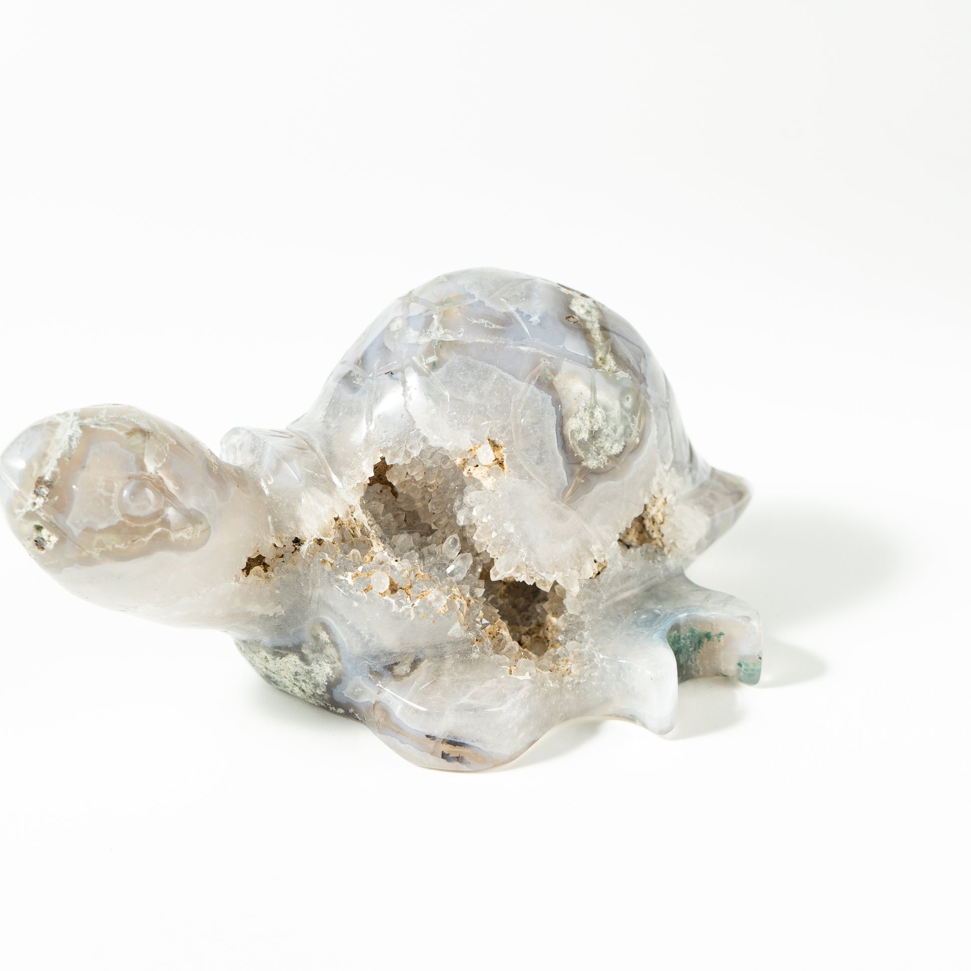 【Craving】- Moss Agate Turtle