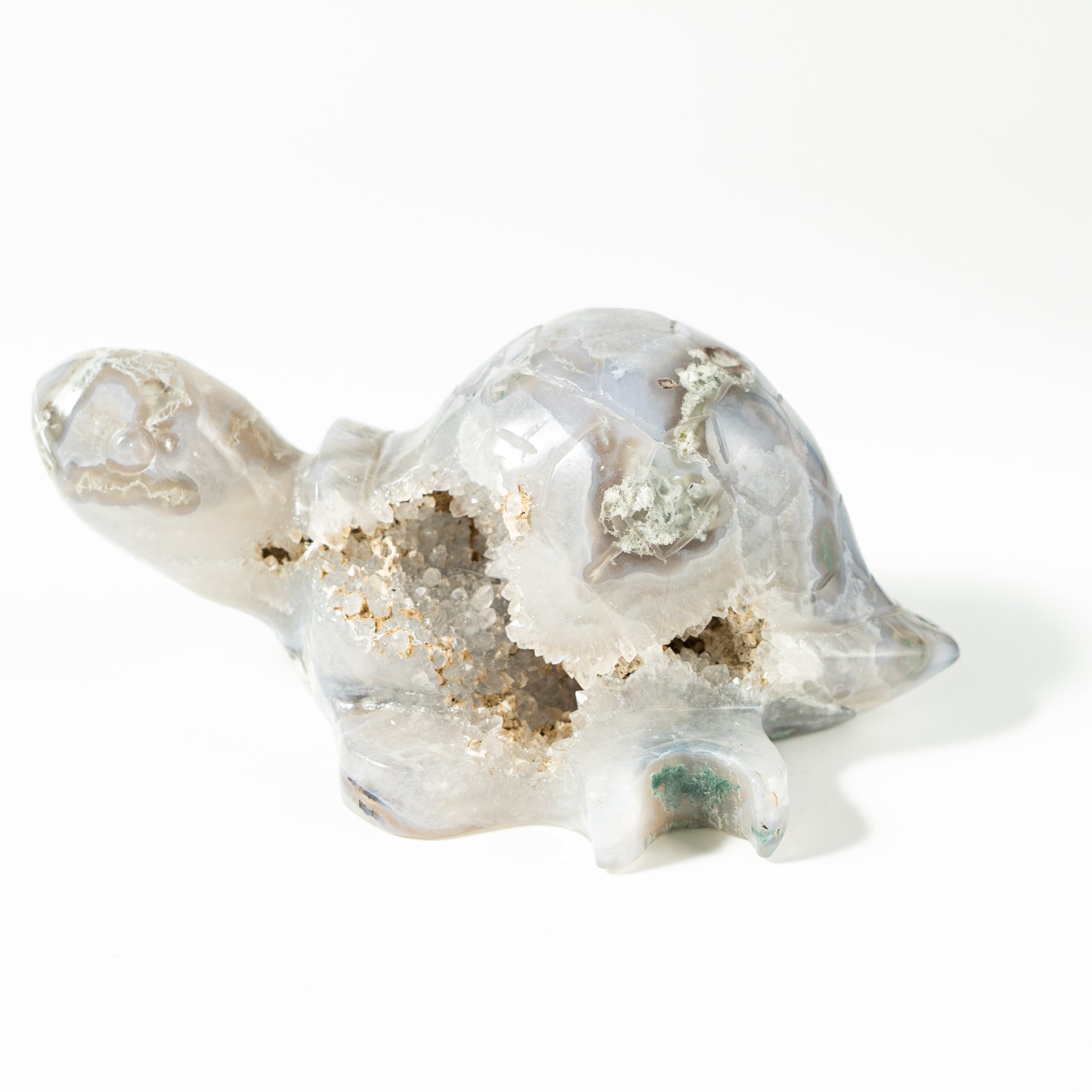 【Craving】- Moss Agate Turtle