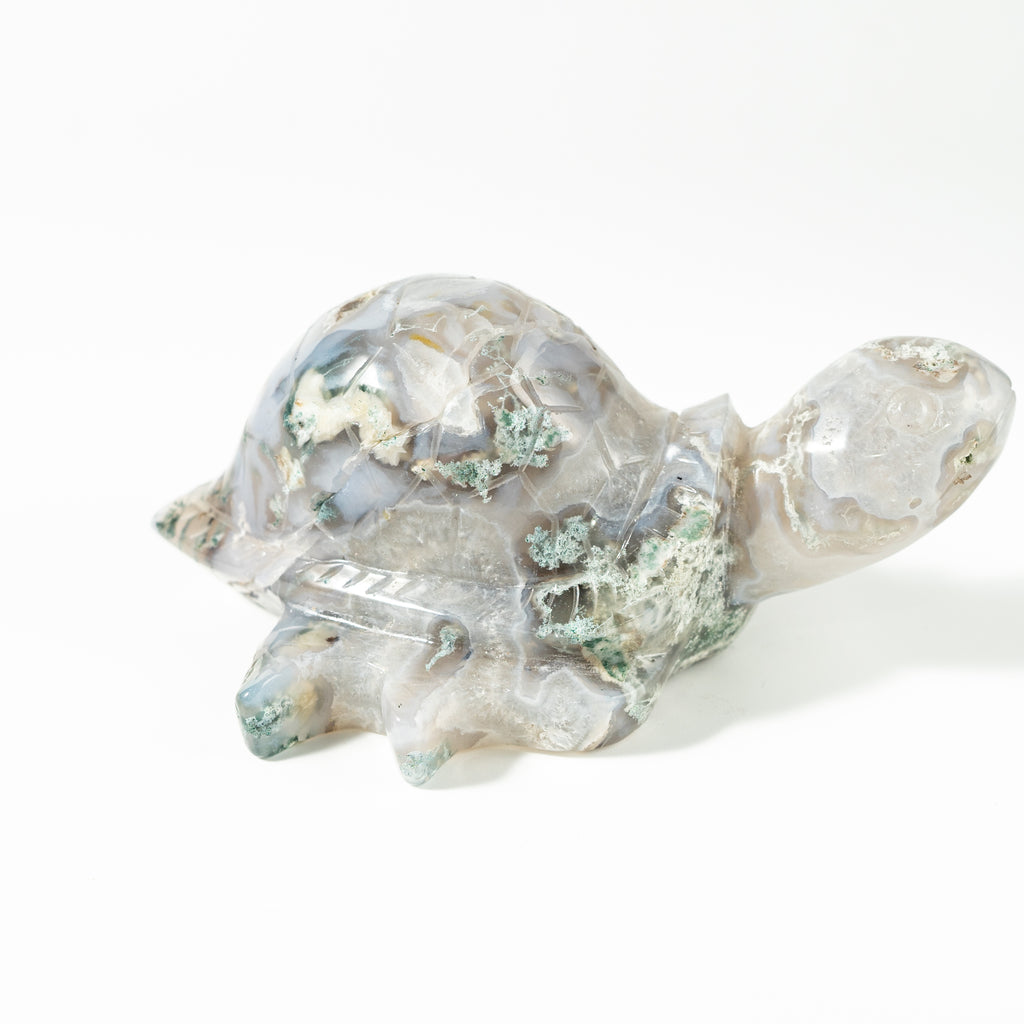 【Craving】- Moss Agate Turtle