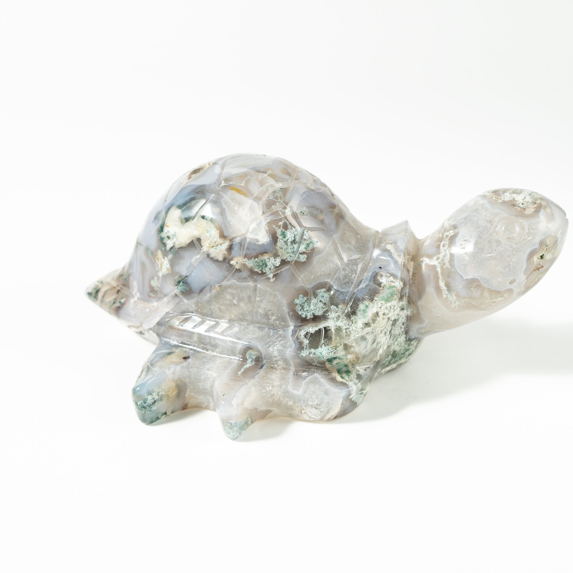【Craving】- Moss Agate Turtle