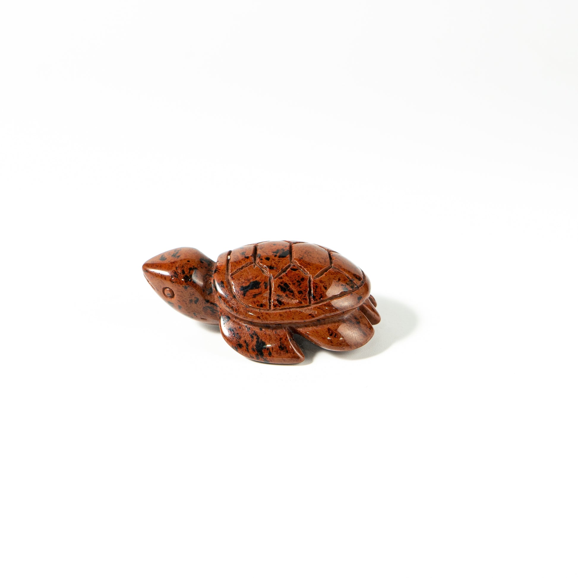 【Craving】- Red Obsidon Turtle