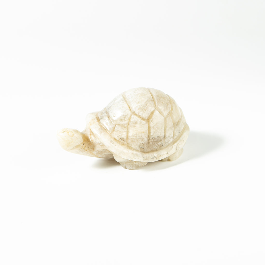 【Craving】- Moonstone Turtle
