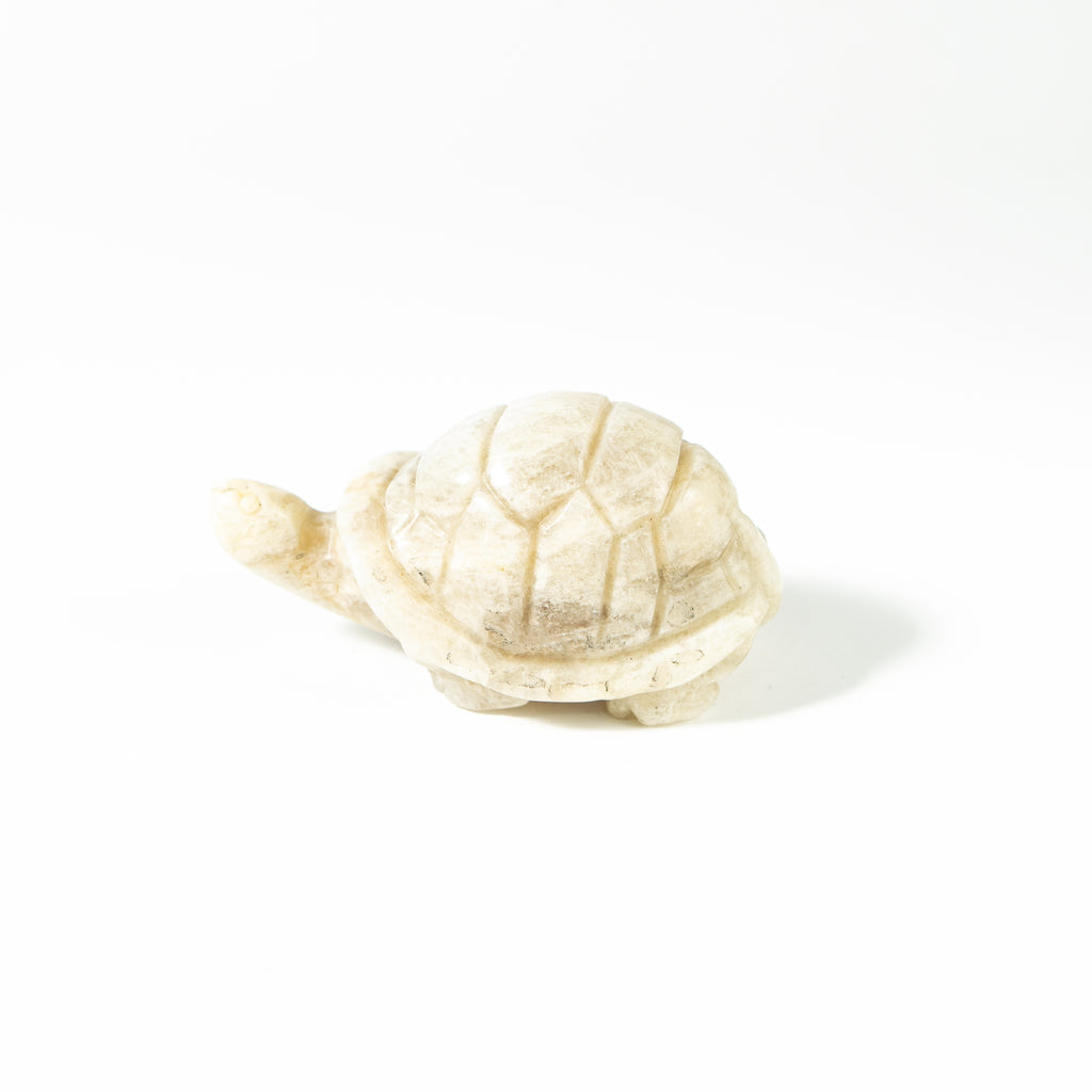 【Craving】- Moonstone Turtle