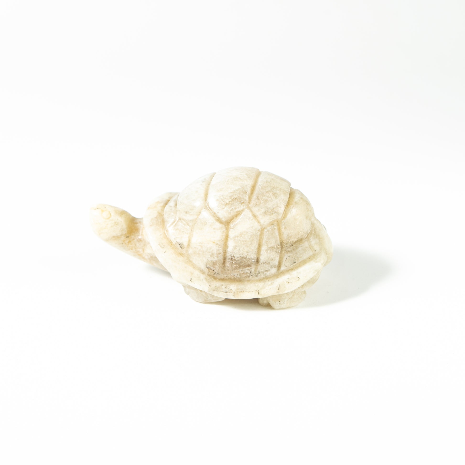 【Craving】- Moonstone Turtle