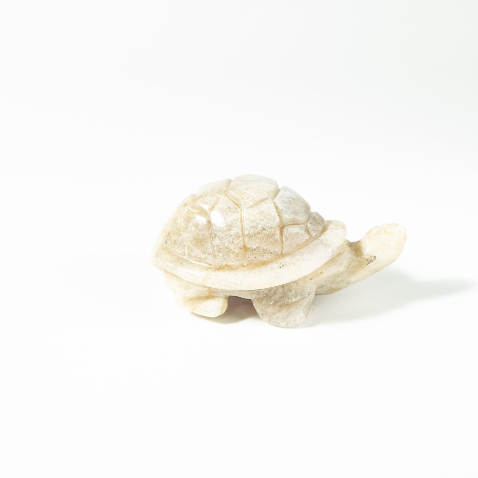 【Craving】- Moonstone Turtle