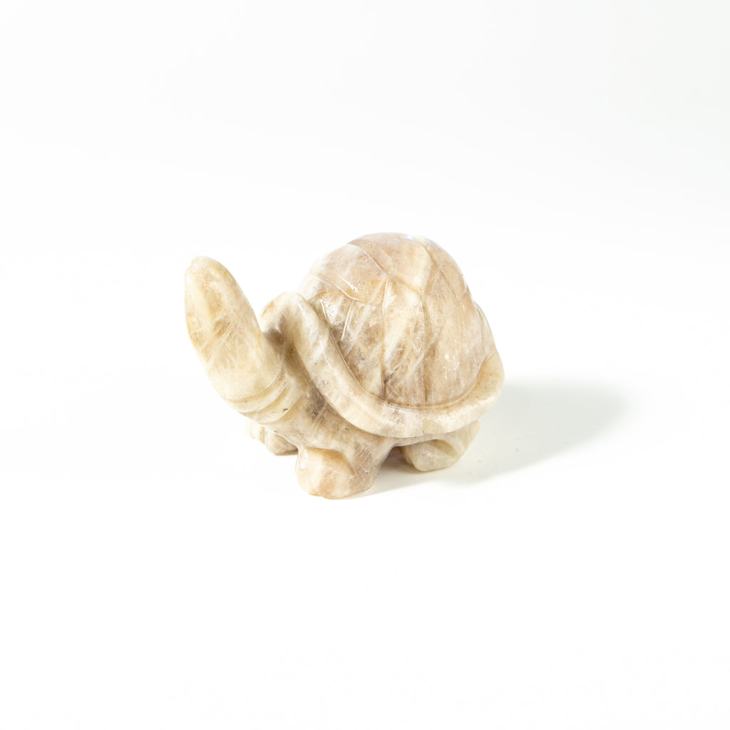 【Craving】- Moonstone Turtle