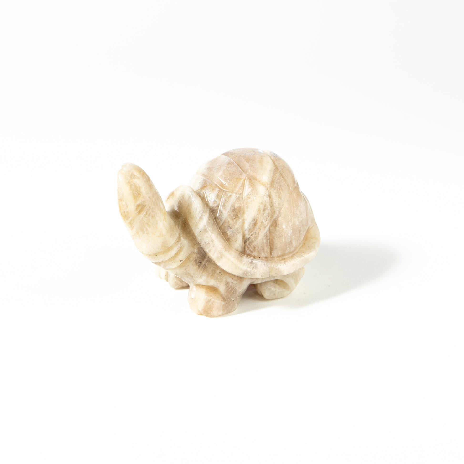 【Craving】- Moonstone Turtle