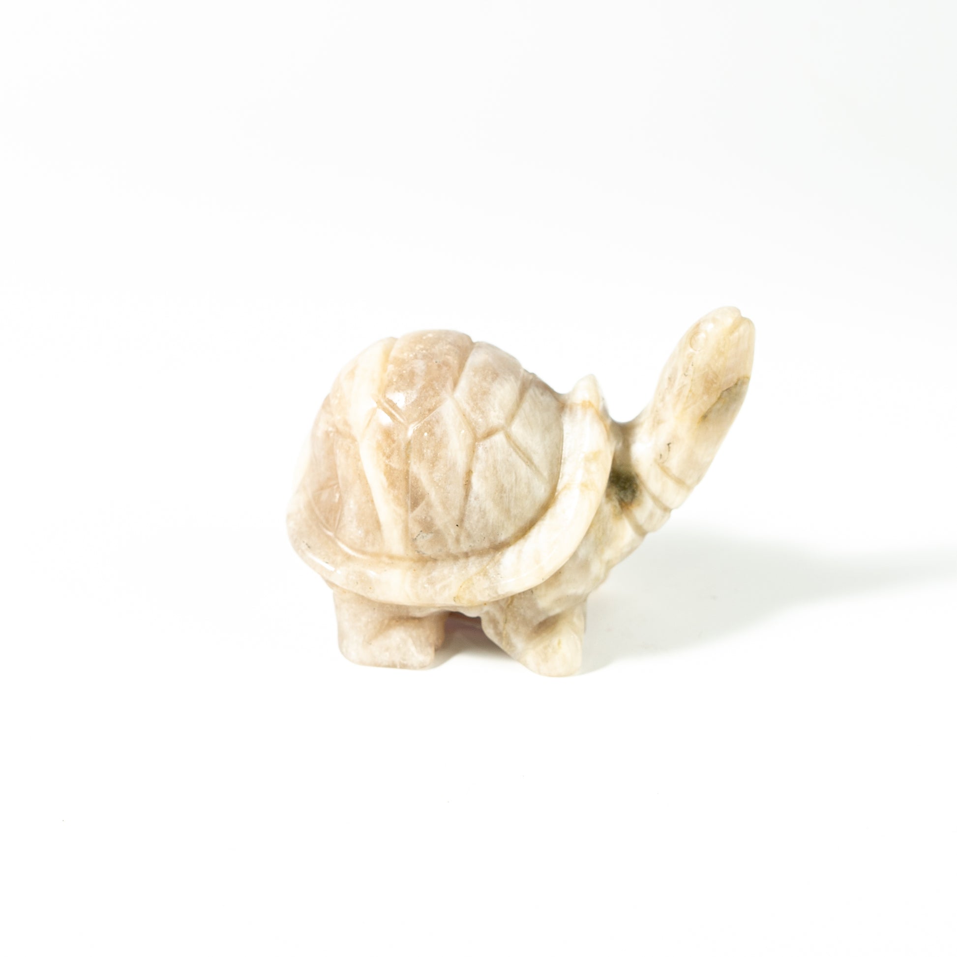 【Craving】- Moonstone Turtle