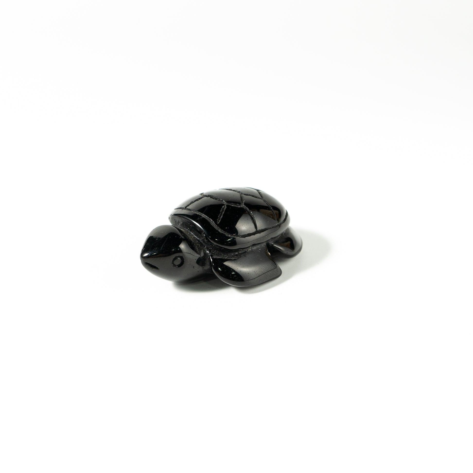 【Craving】- Black Obsidion Turtle