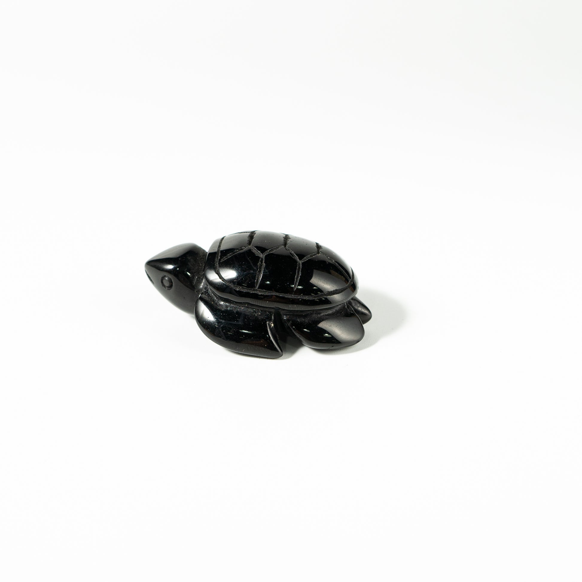 【Craving】- Black Obsidion Turtle