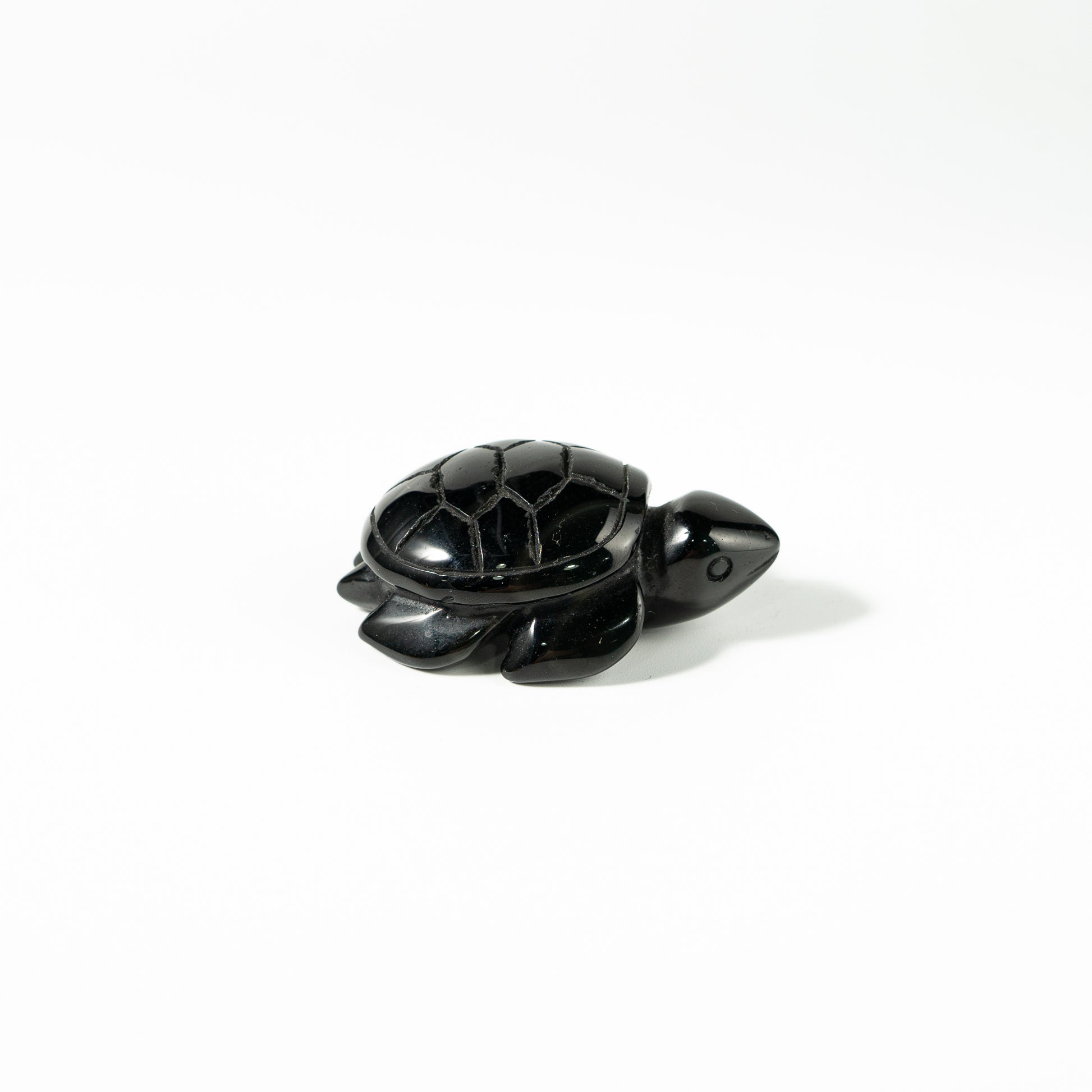 【Craving】- Black Obsidion Turtle