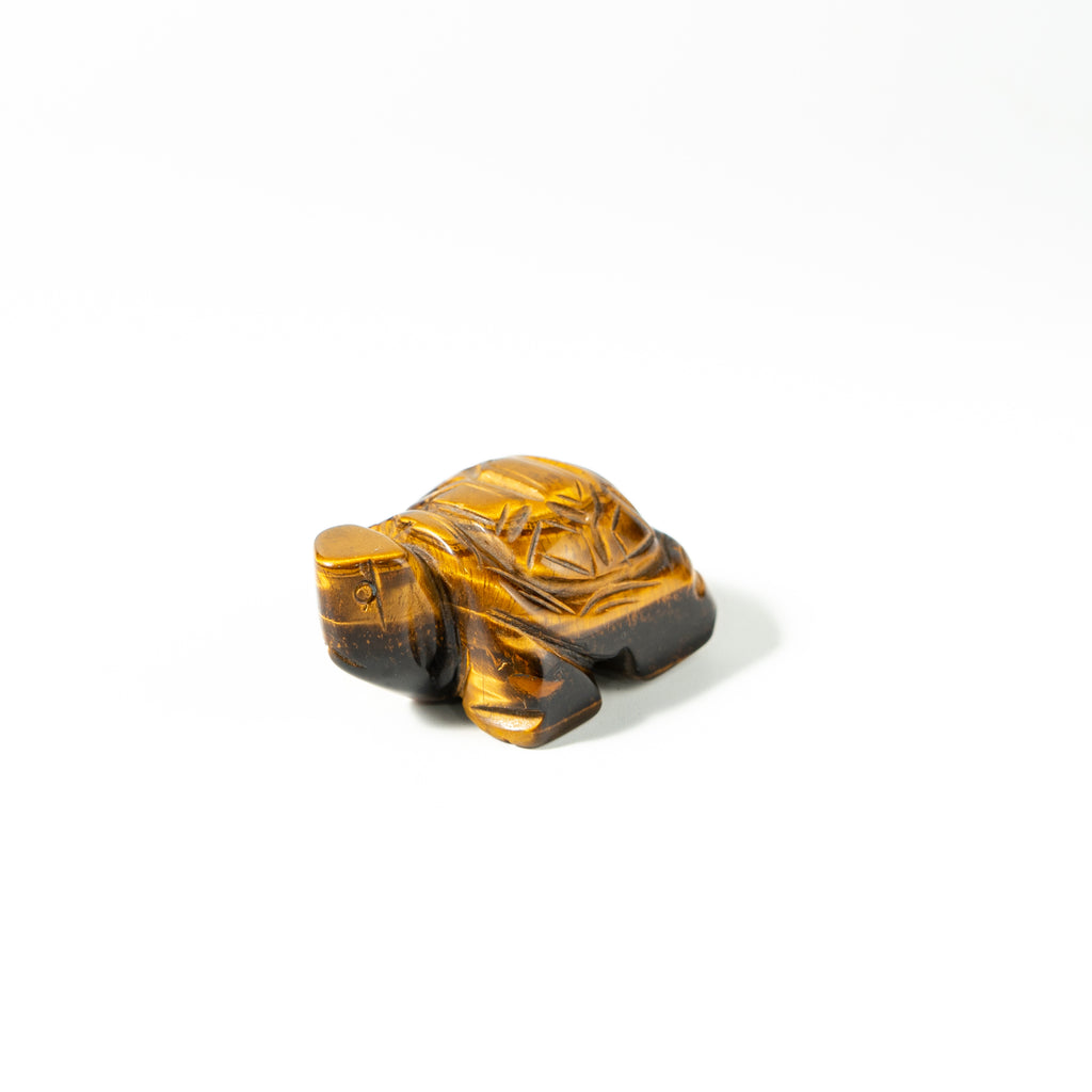 【Craving】- Tiger Eye Turtle