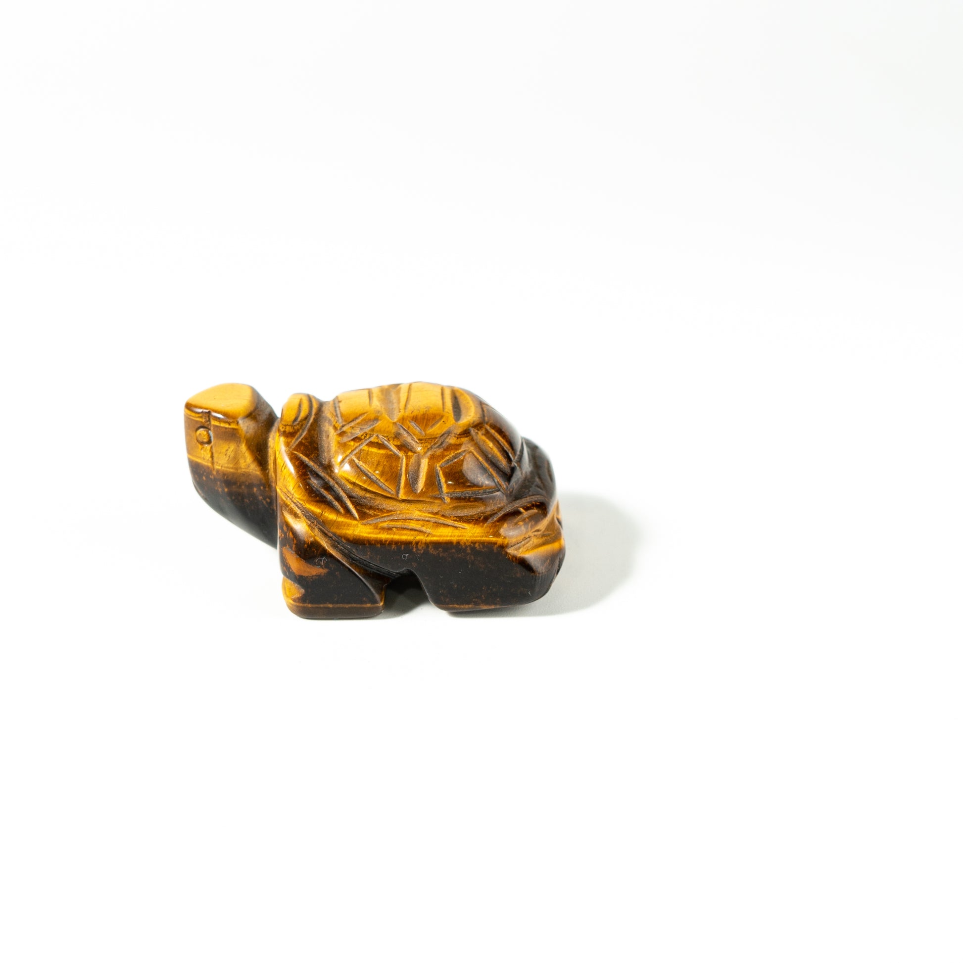 【Craving】- Tiger Eye Turtle