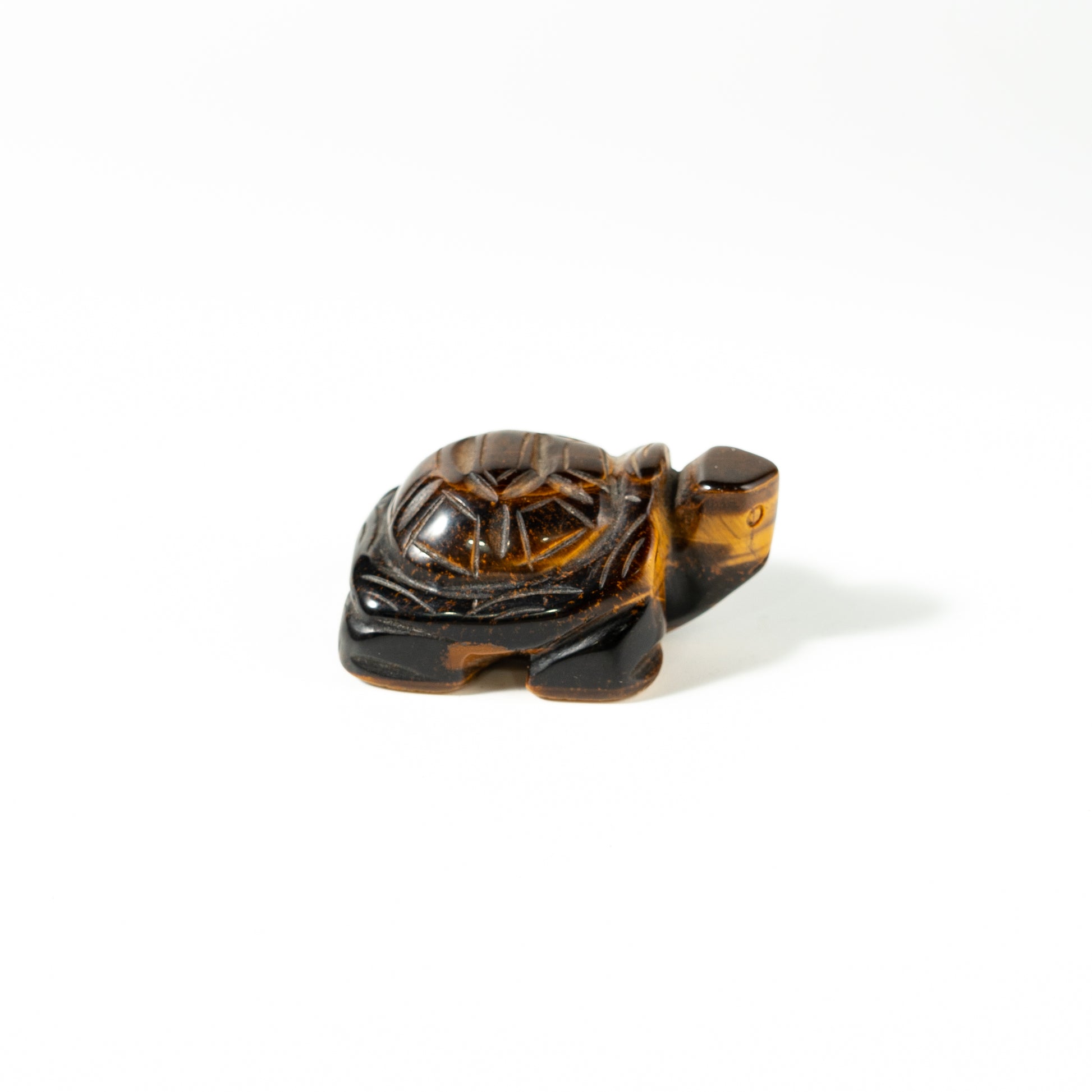 【Craving】- Tiger Eye Turtle