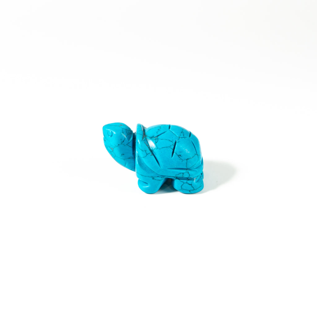 【Craving】- Blue Turtle