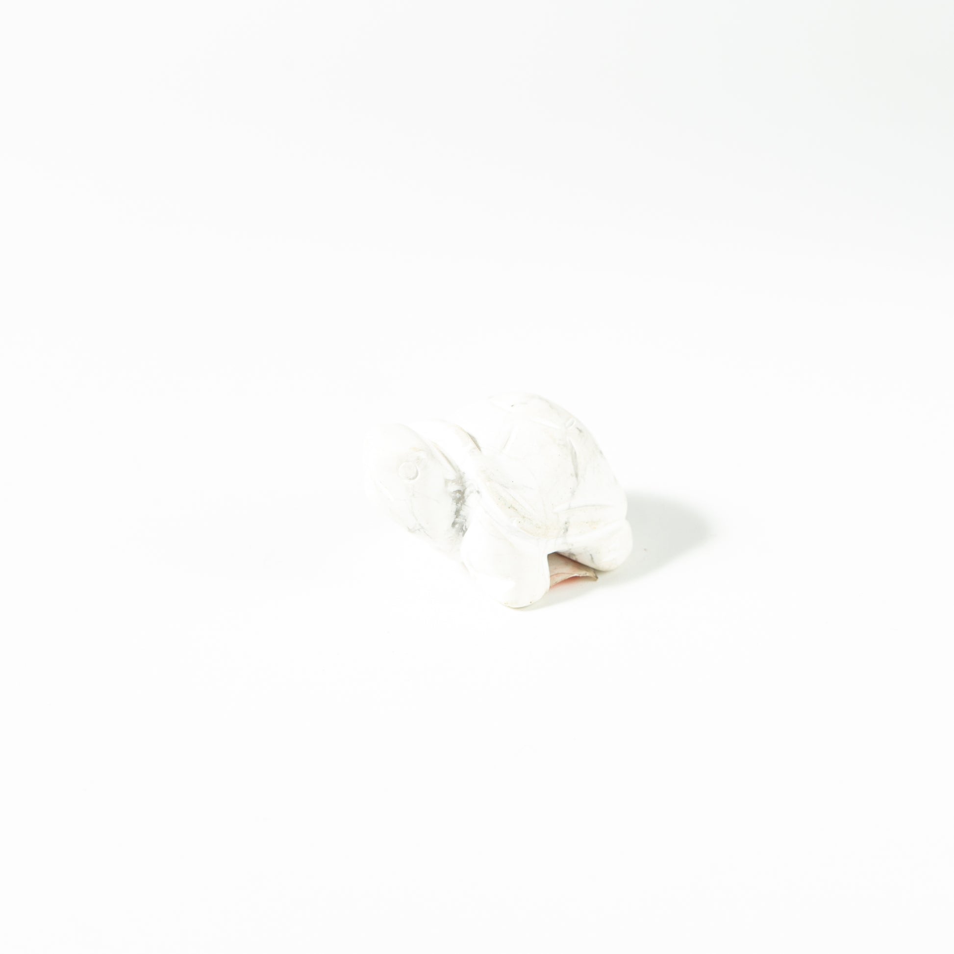 【Craving】- Howlite Turtle