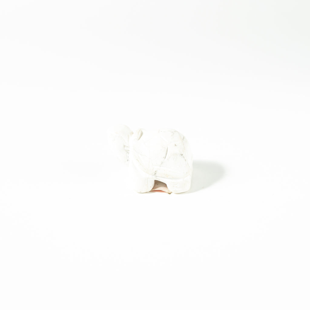 【Craving】- Howlite Turtle