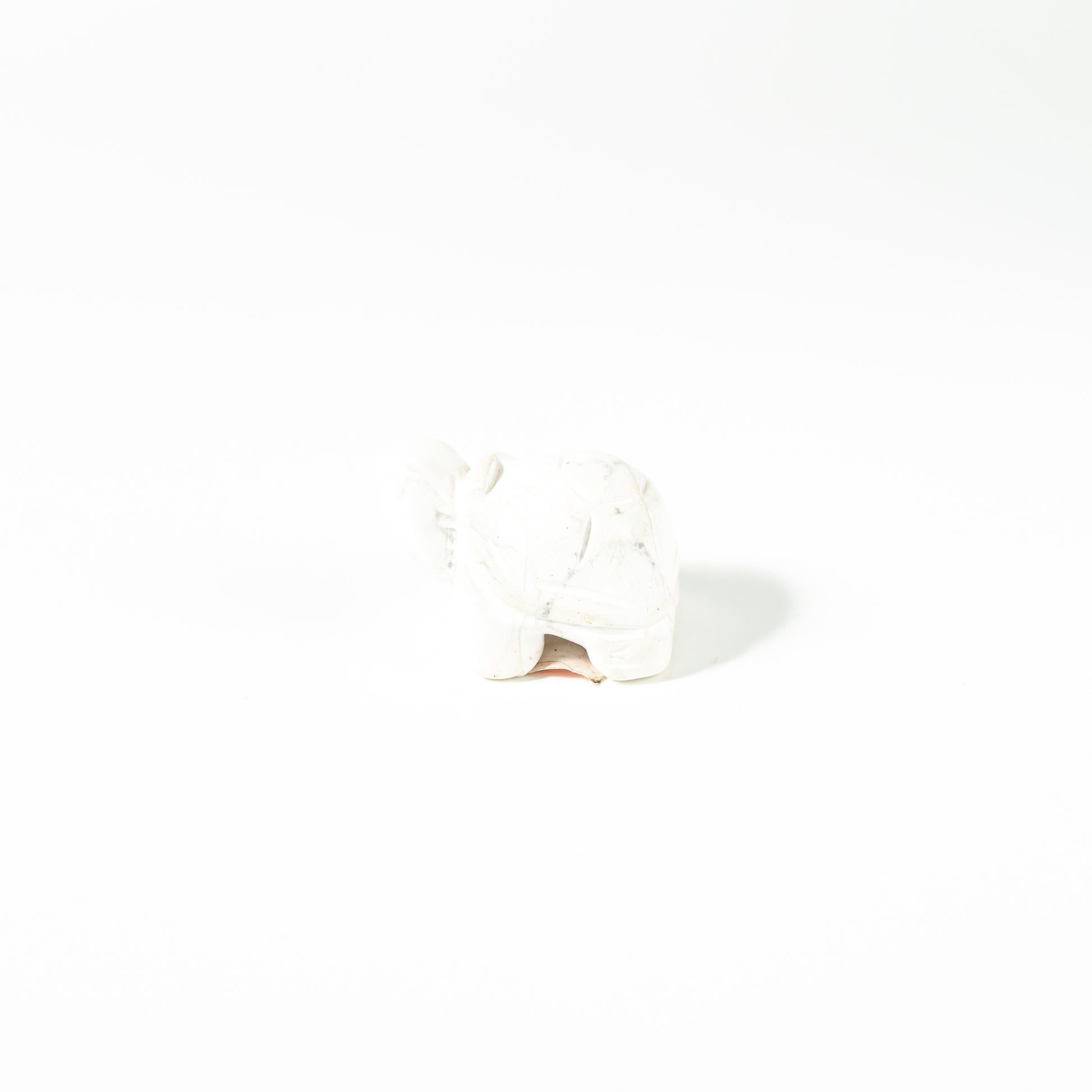 【Craving】- Howlite Turtle