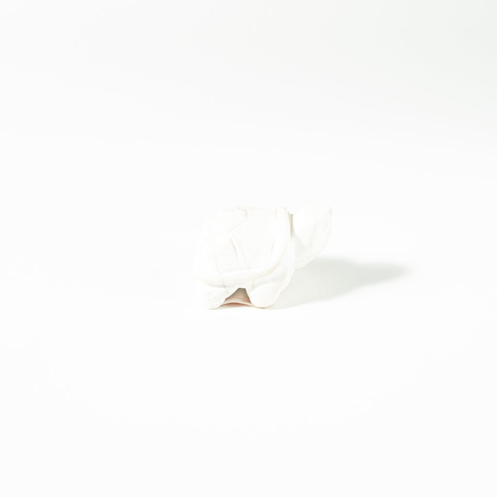 【Craving】- Howlite Turtle