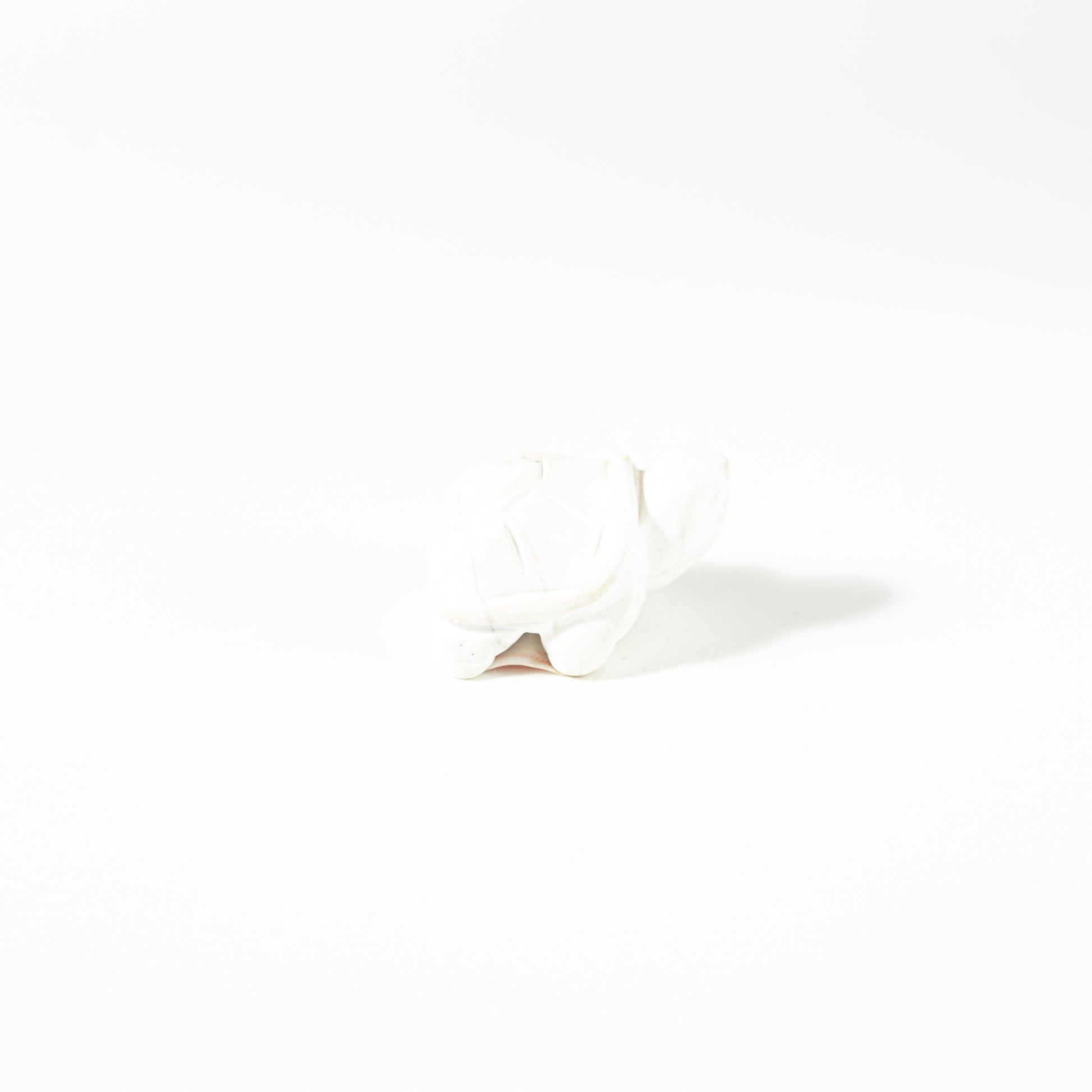 【Craving】- Howlite Turtle