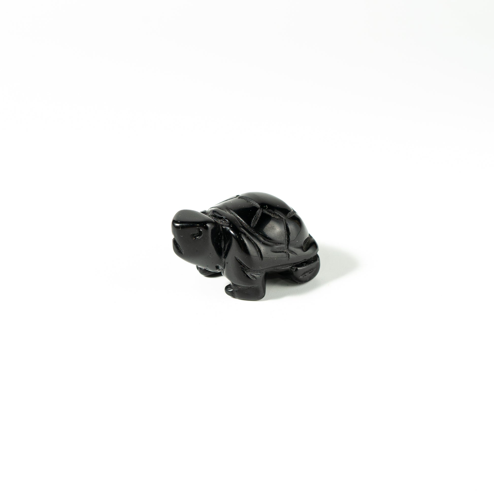 【Craving】- Black Obsidion Turtle