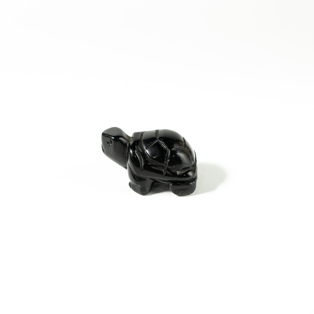 【Craving】- Black Obsidion Turtle