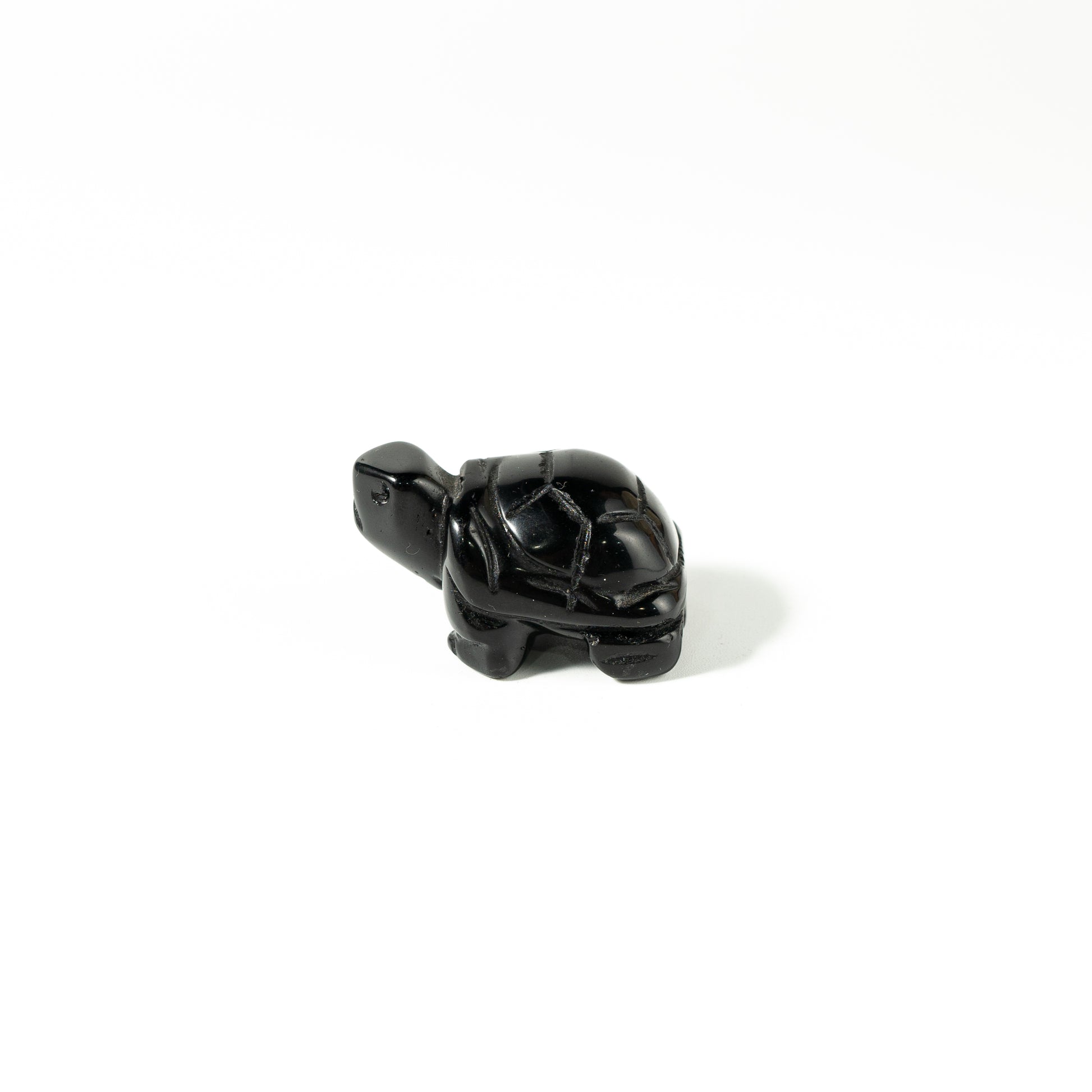 【Craving】- Black Obsidion Turtle