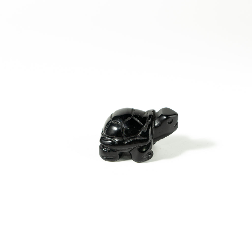 【Craving】- Black Obsidion Turtle