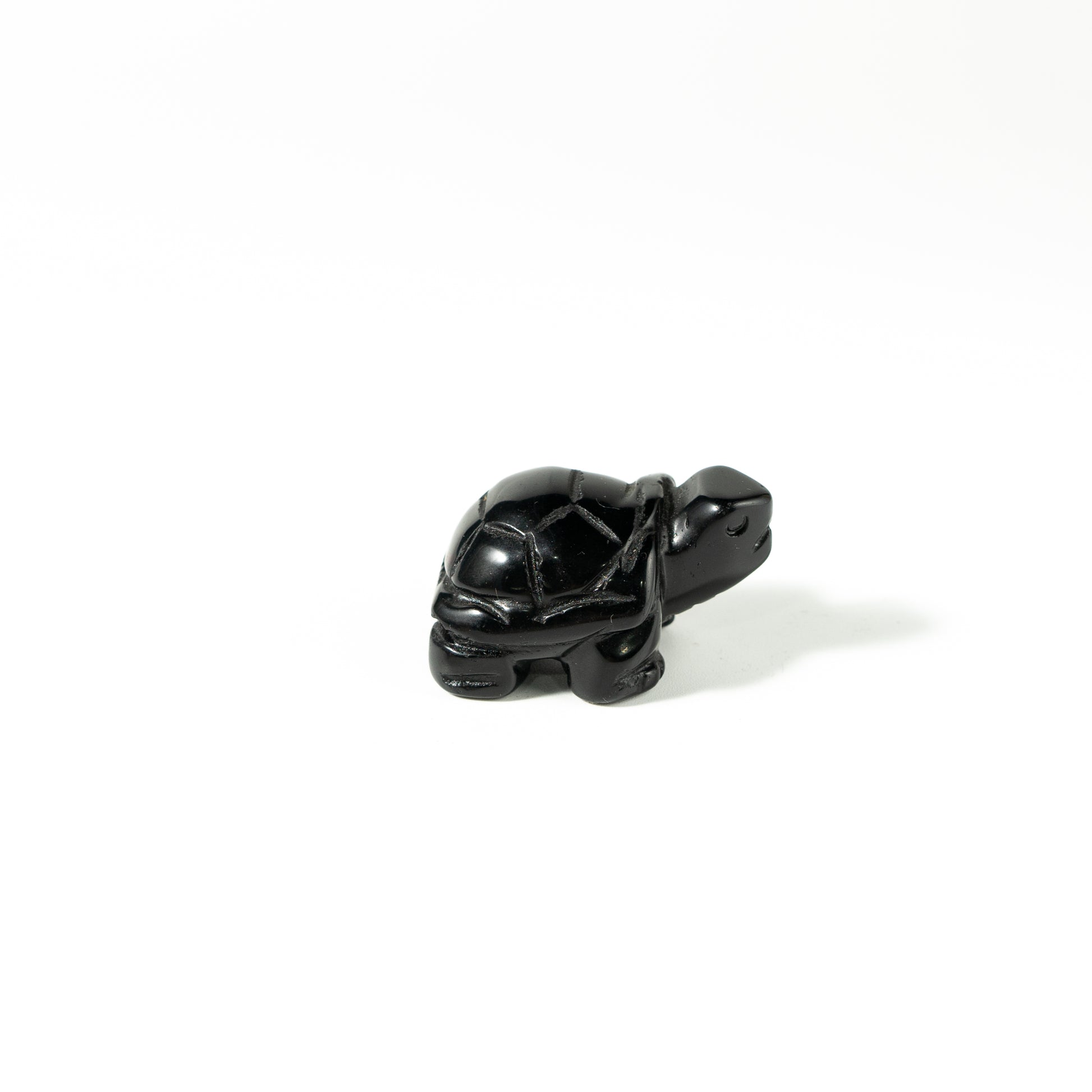 【Craving】- Black Obsidion Turtle