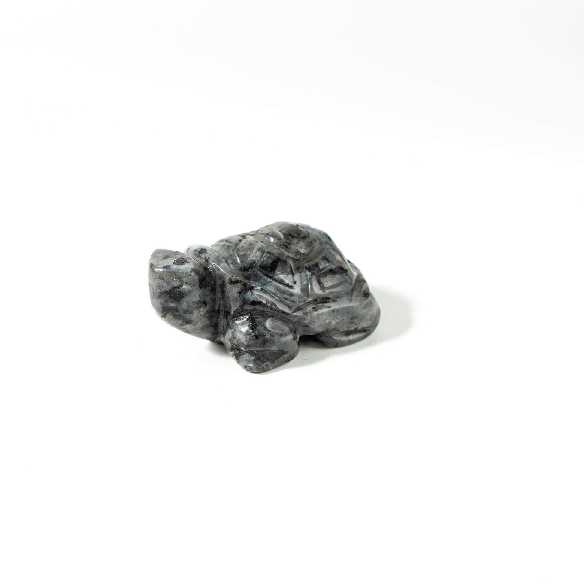 【Craving】- Anorthite Turtle