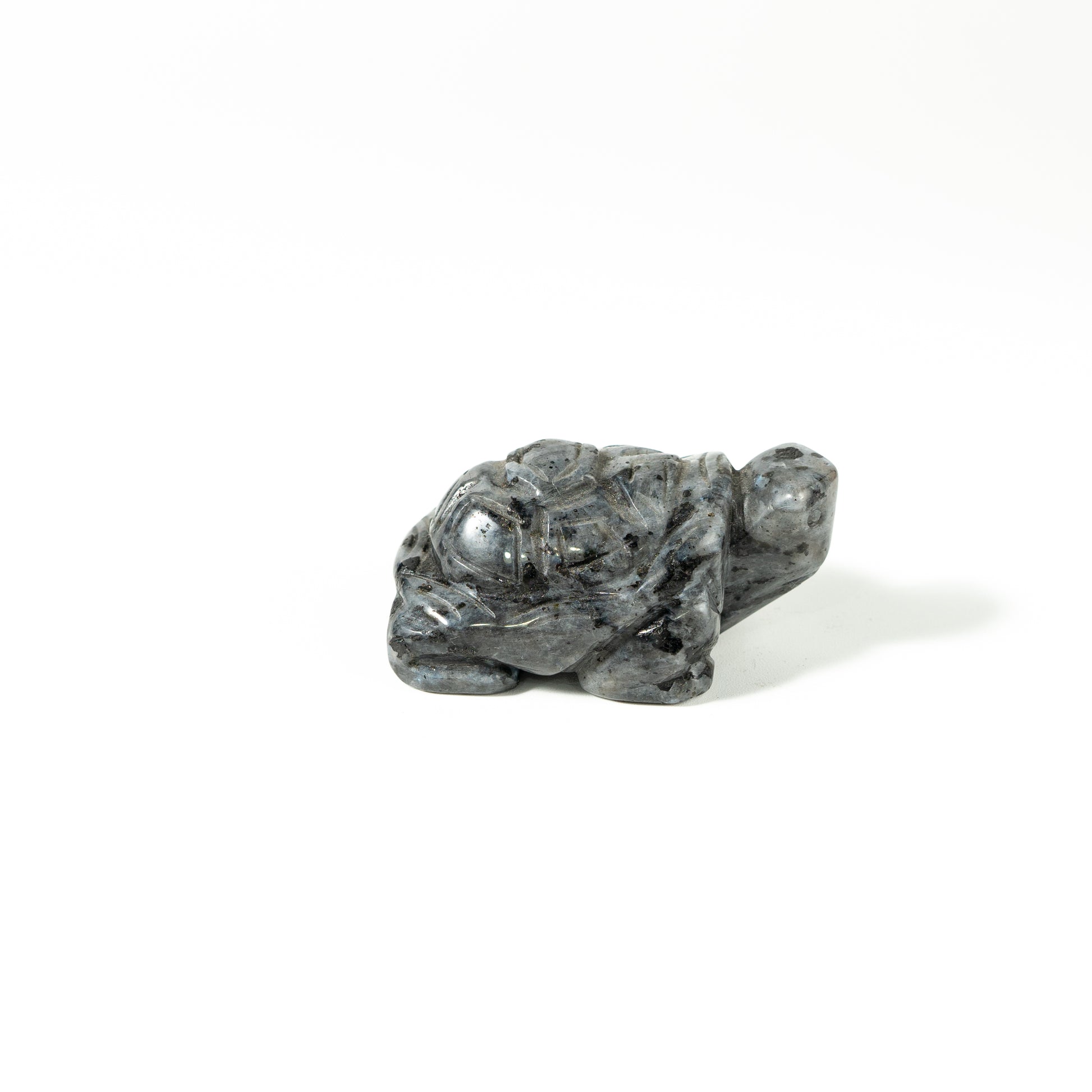 【Craving】- Anorthite Turtle