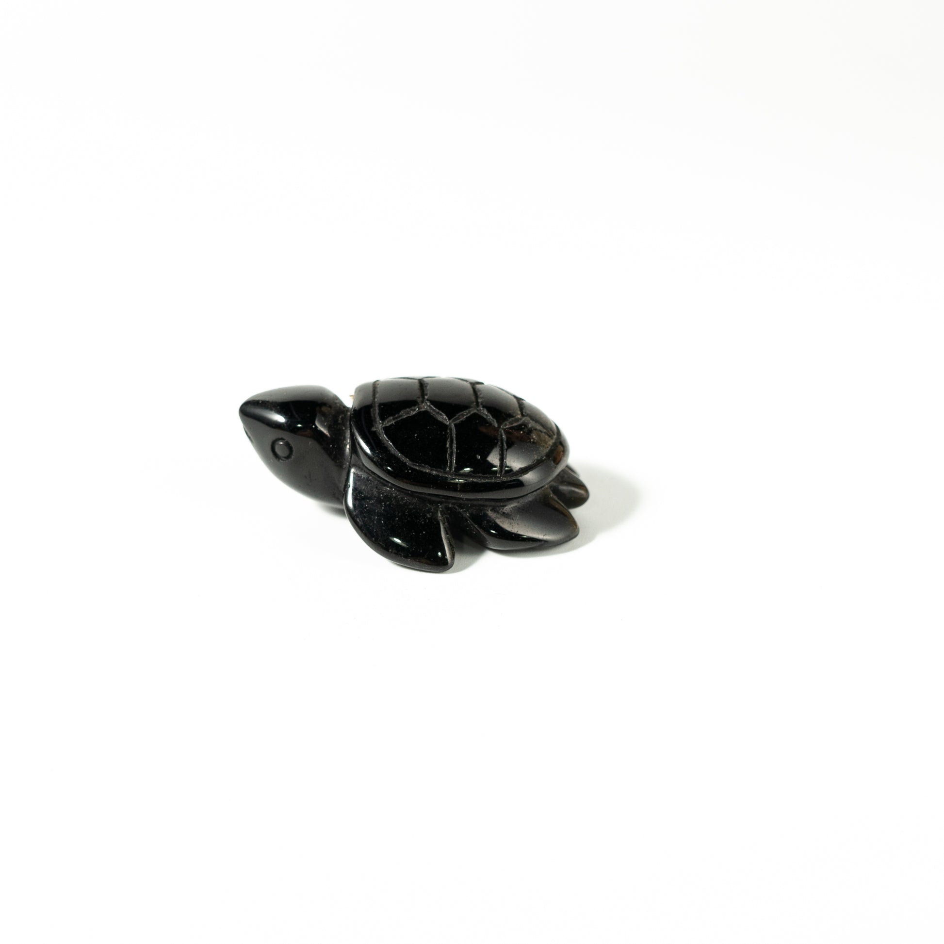 【Craving】- Black Obsidion Turtle