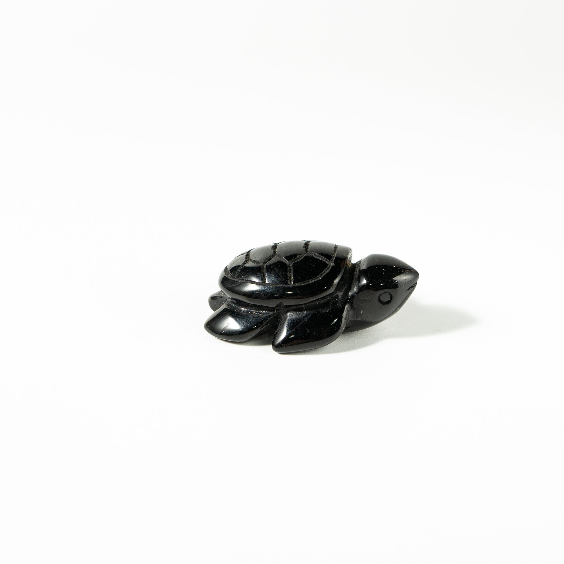 【Craving】- Black Obsidion Turtle
