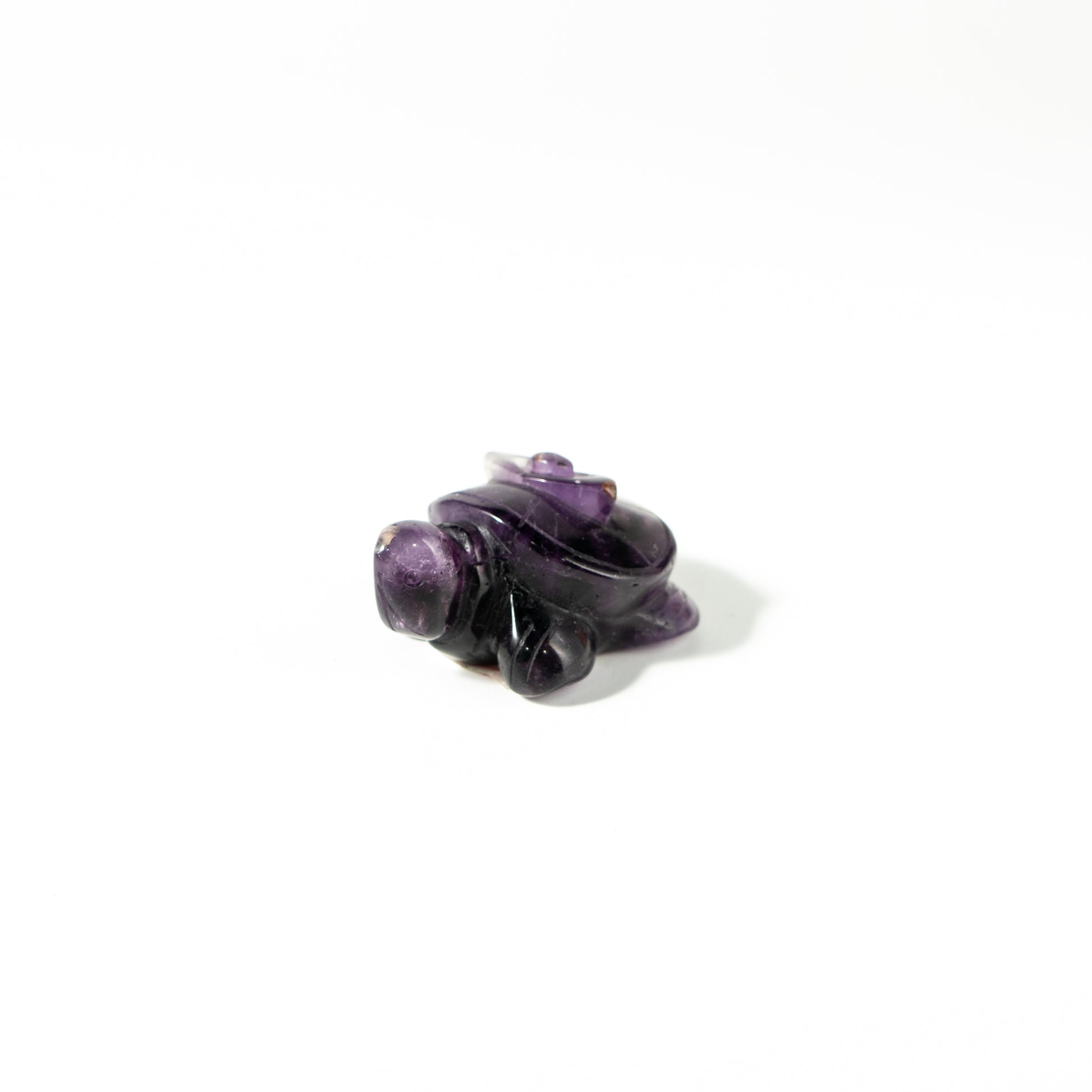 【Craving】- Flourite Turtle