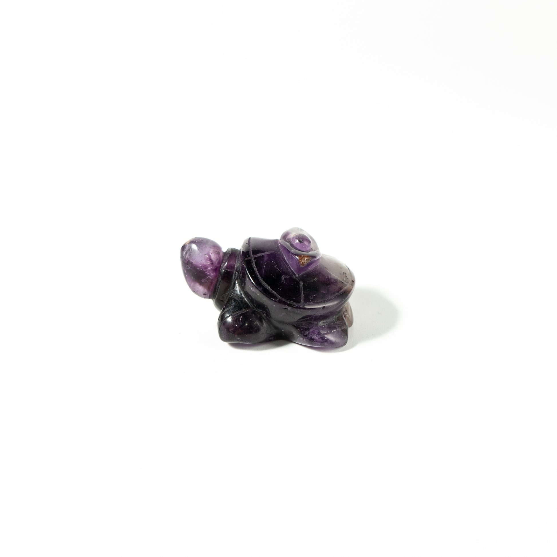 【Craving】- Flourite Turtle