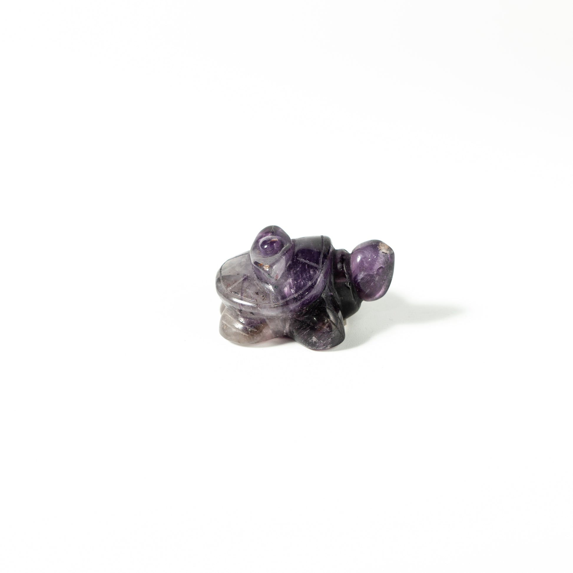 【Craving】- Flourite Turtle