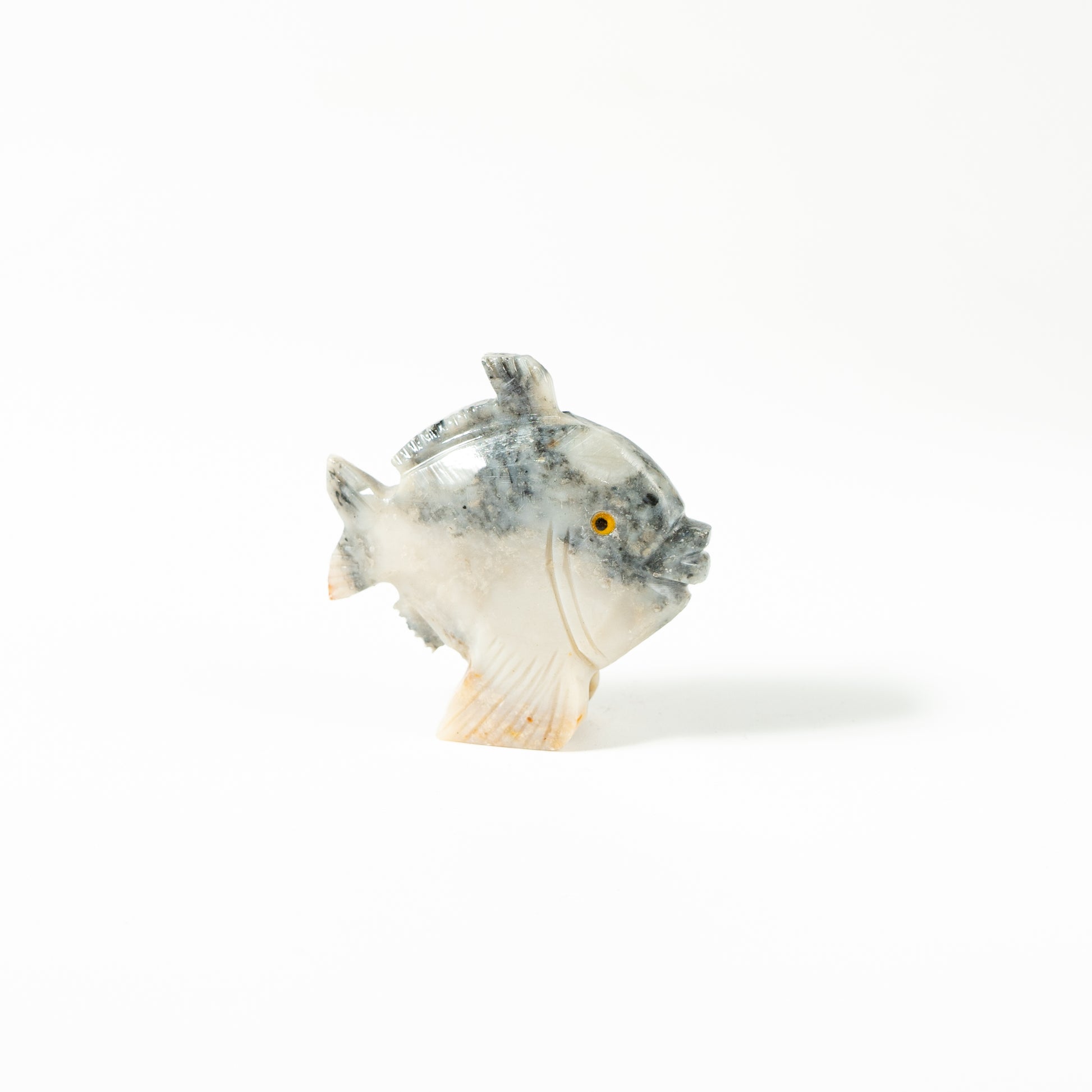 【Craving】- Spapstone Fish
